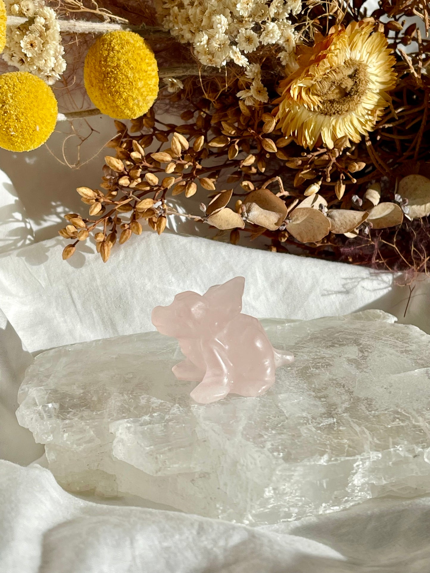 Rose Quartz Baby Triceratops