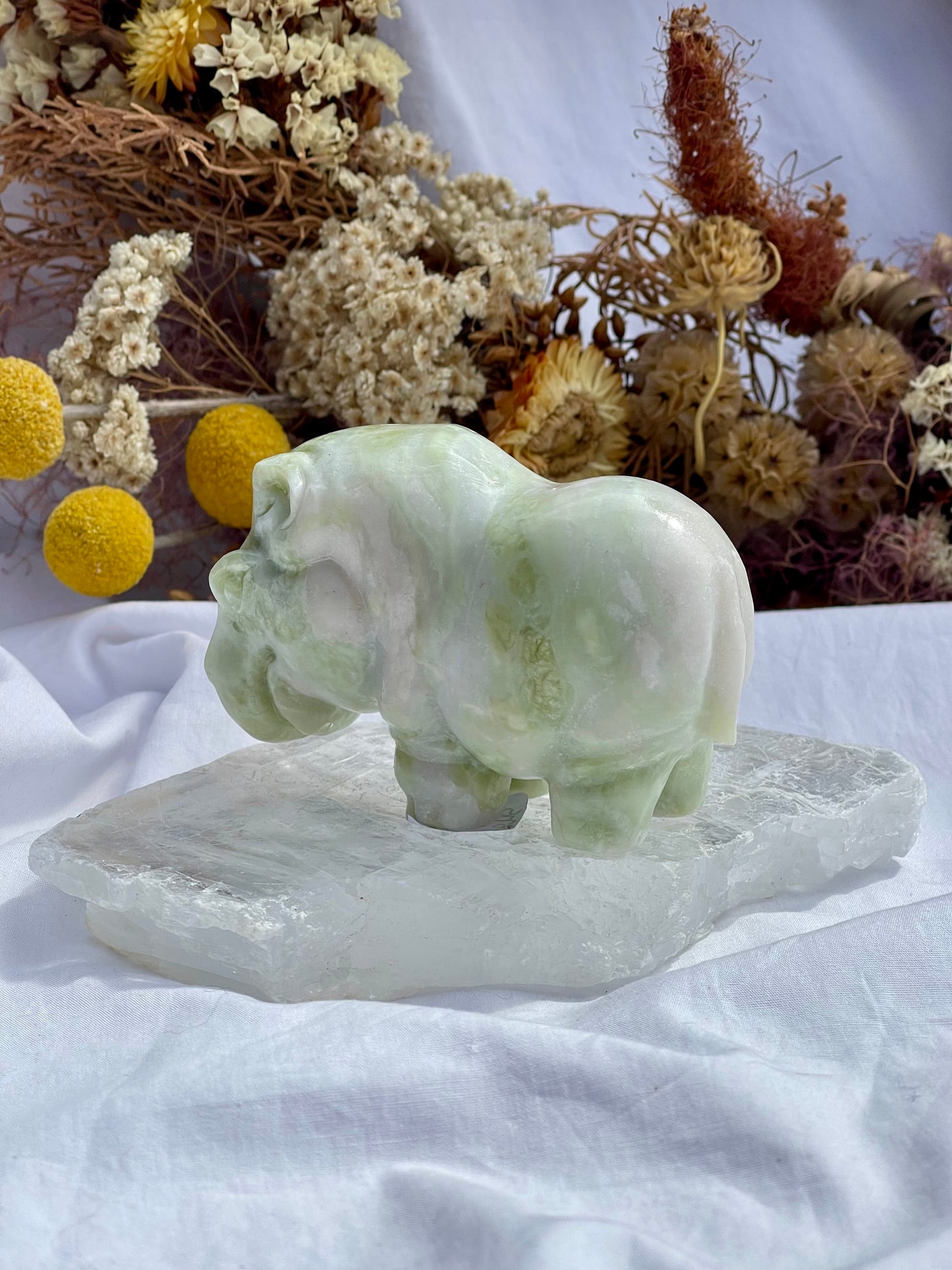 Lemon Jade Hippo