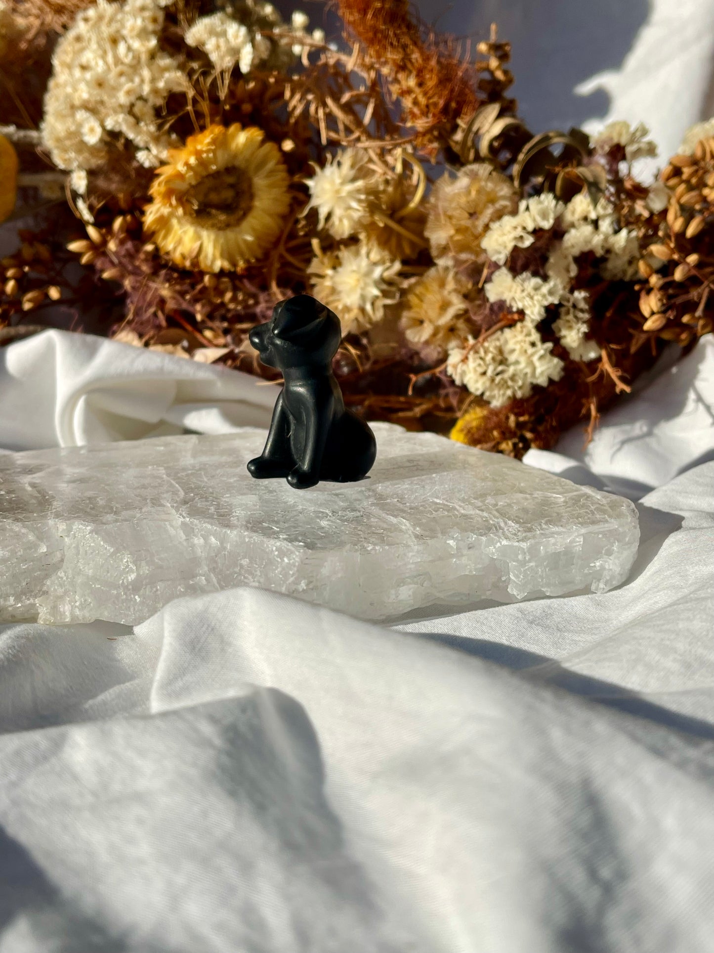 Black Obsidian Dog