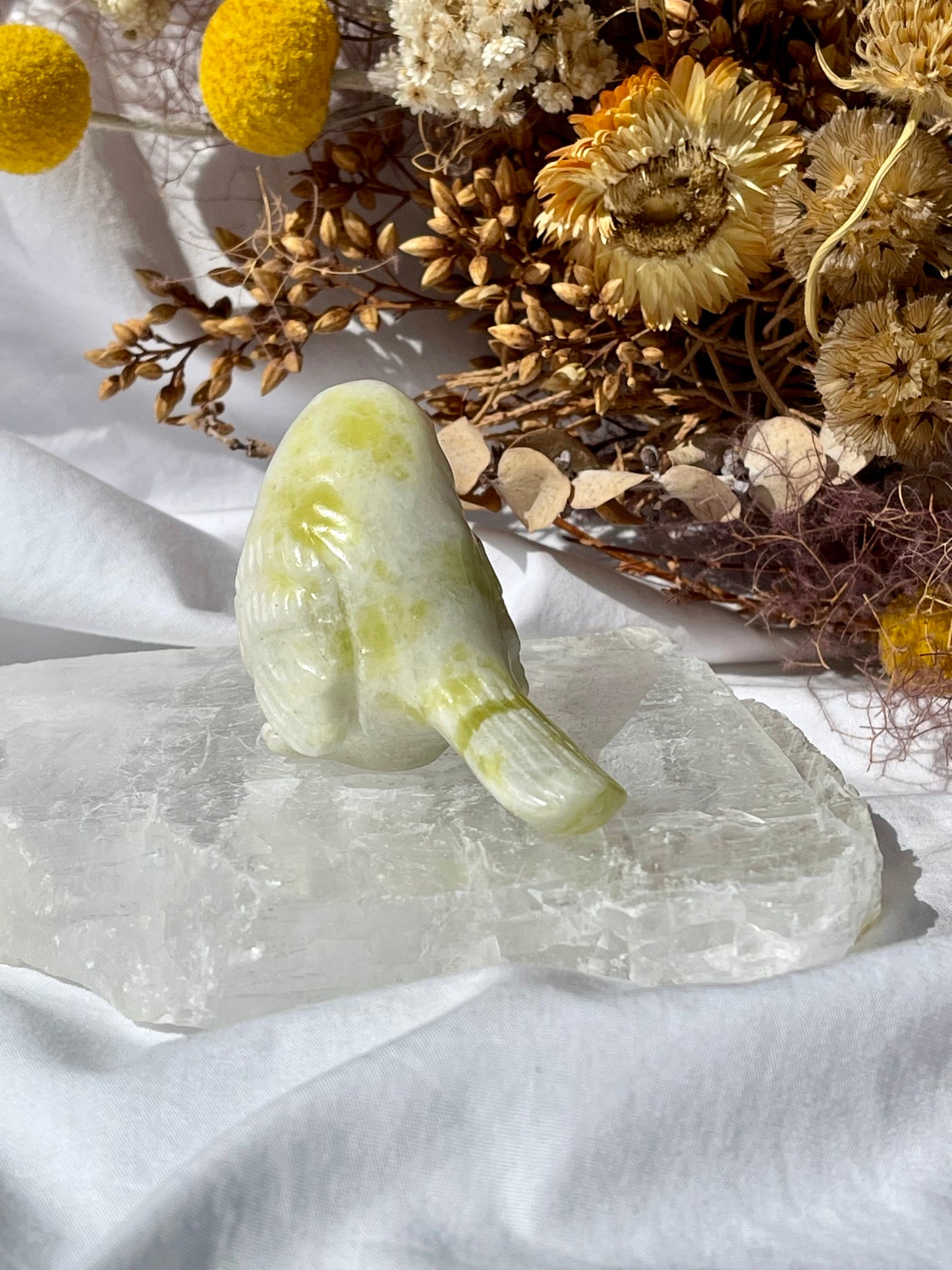 Lemon Jade Bird A
