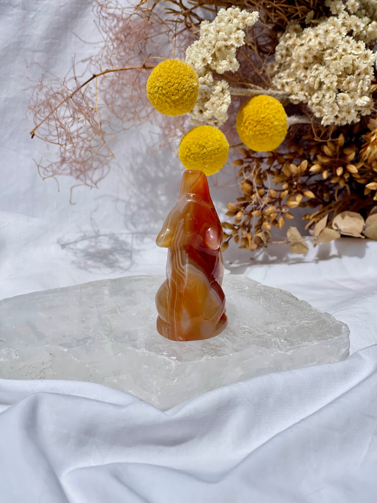 Carnelian Wolf