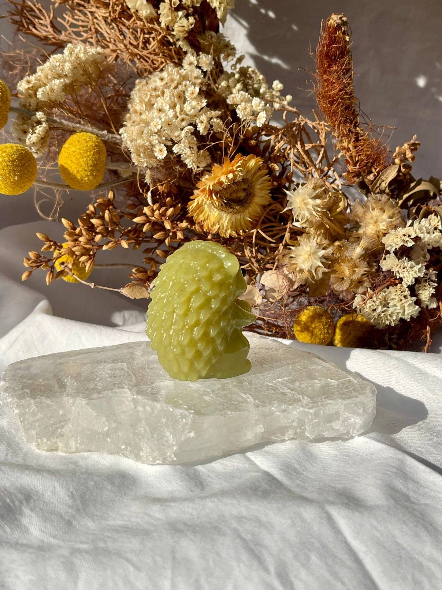Lemon Jade Hedgehog