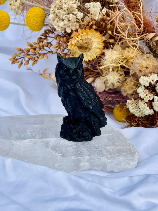 Black Obsidian Owl