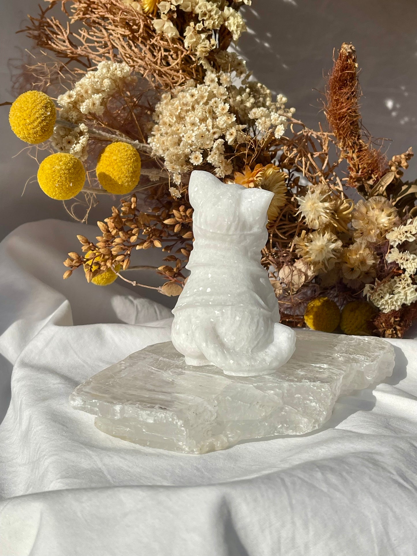 White Jade Wizard Cat