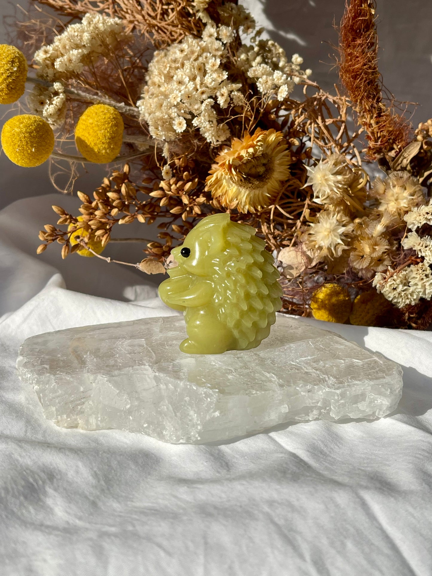 Lemon Jade Hedgehog