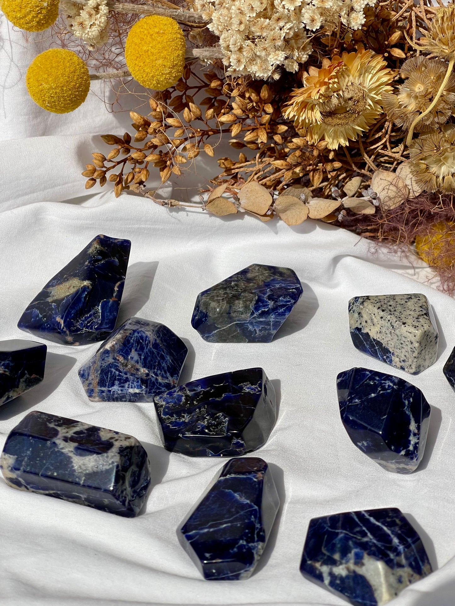 Sodalite Mini Freeform