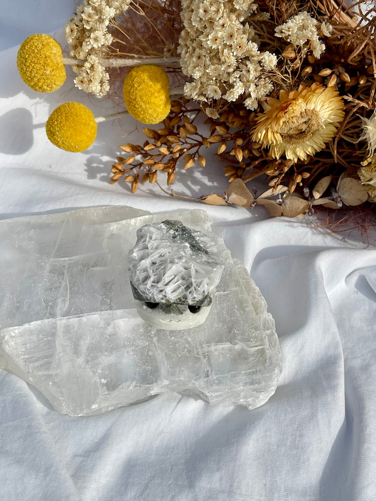 Angel Wing Calcite Critter #2