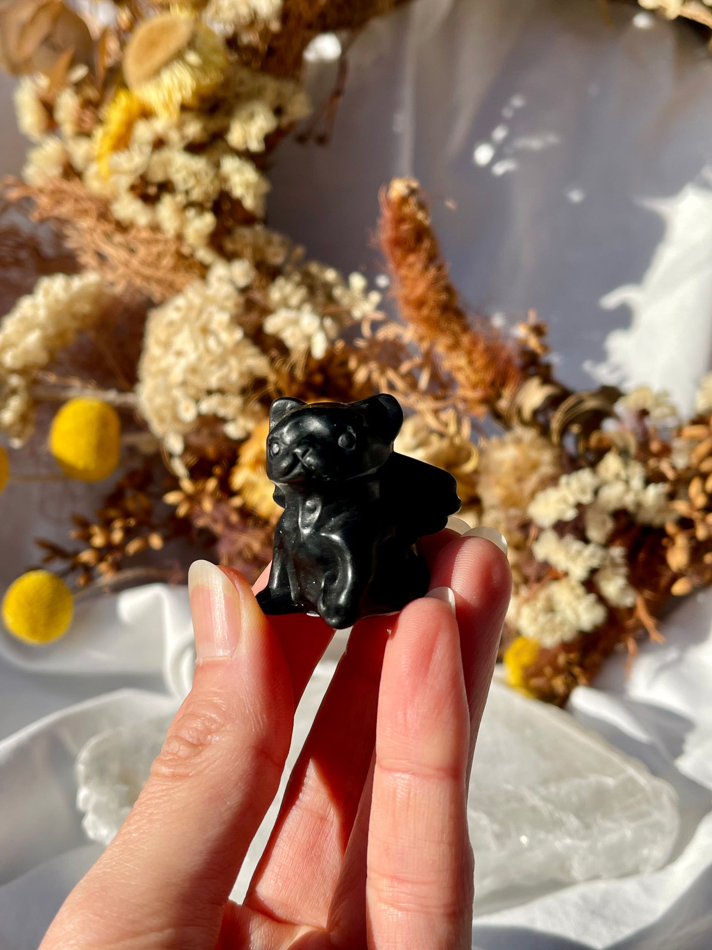 Black Obsidian Angel French Bulldog