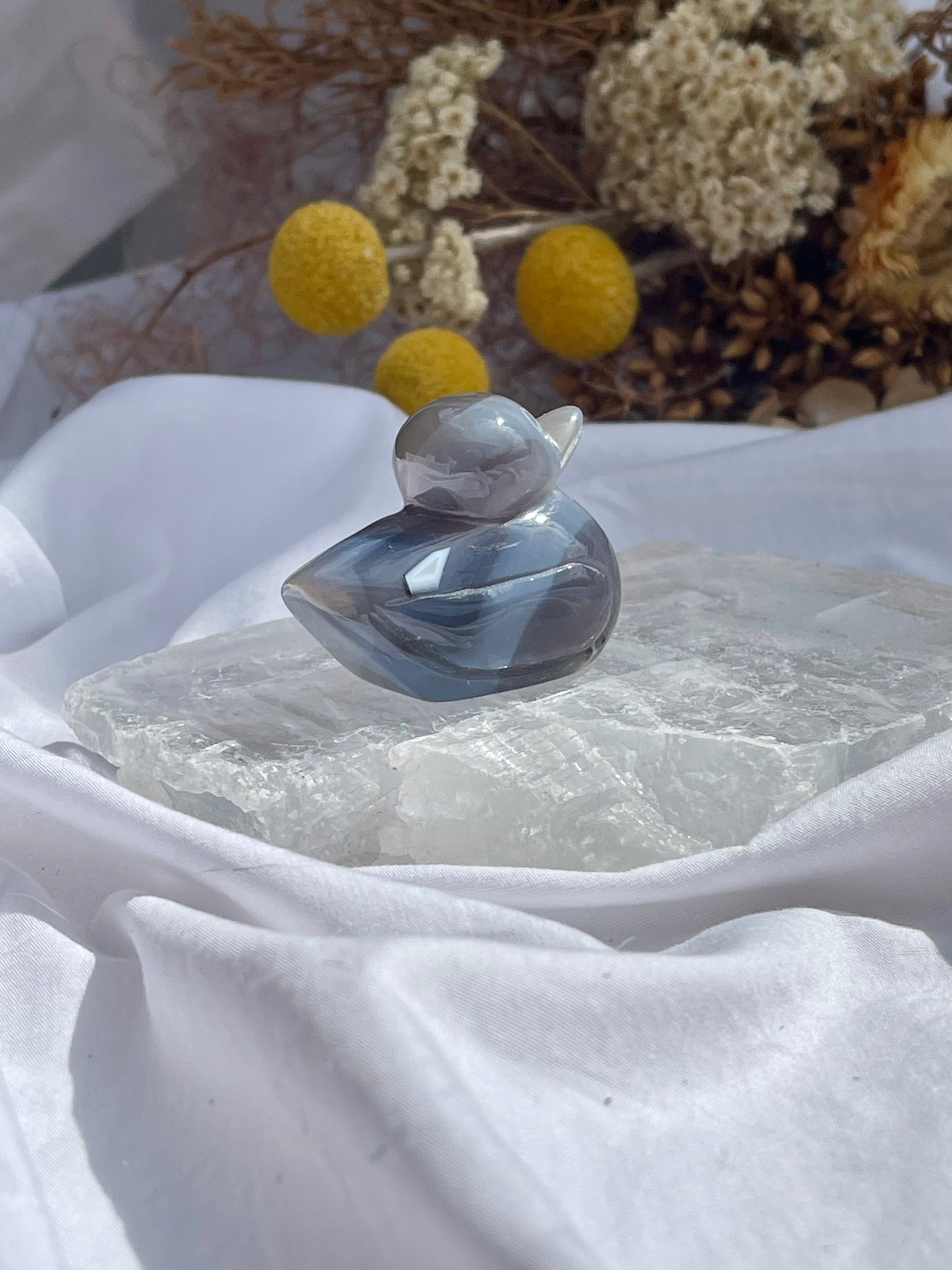 Agate Duck #1