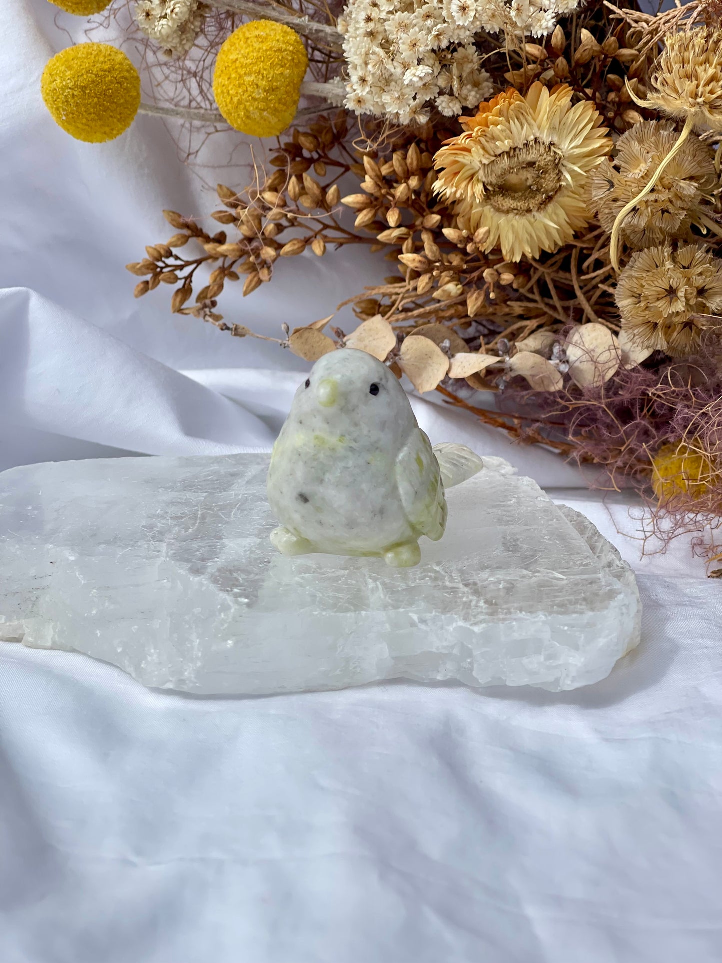 Lemon jade bird 5