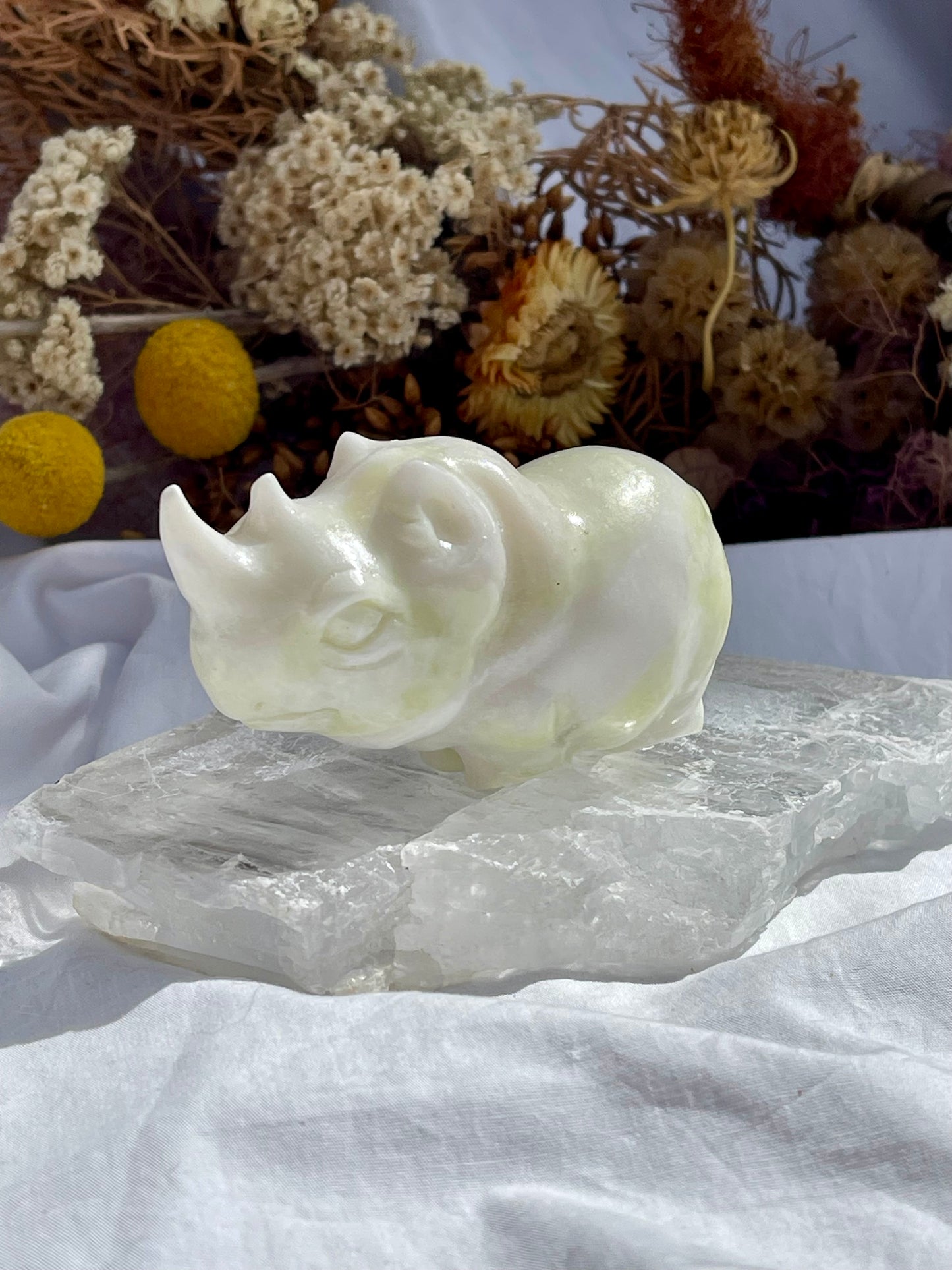 Lemon Jade Rhino