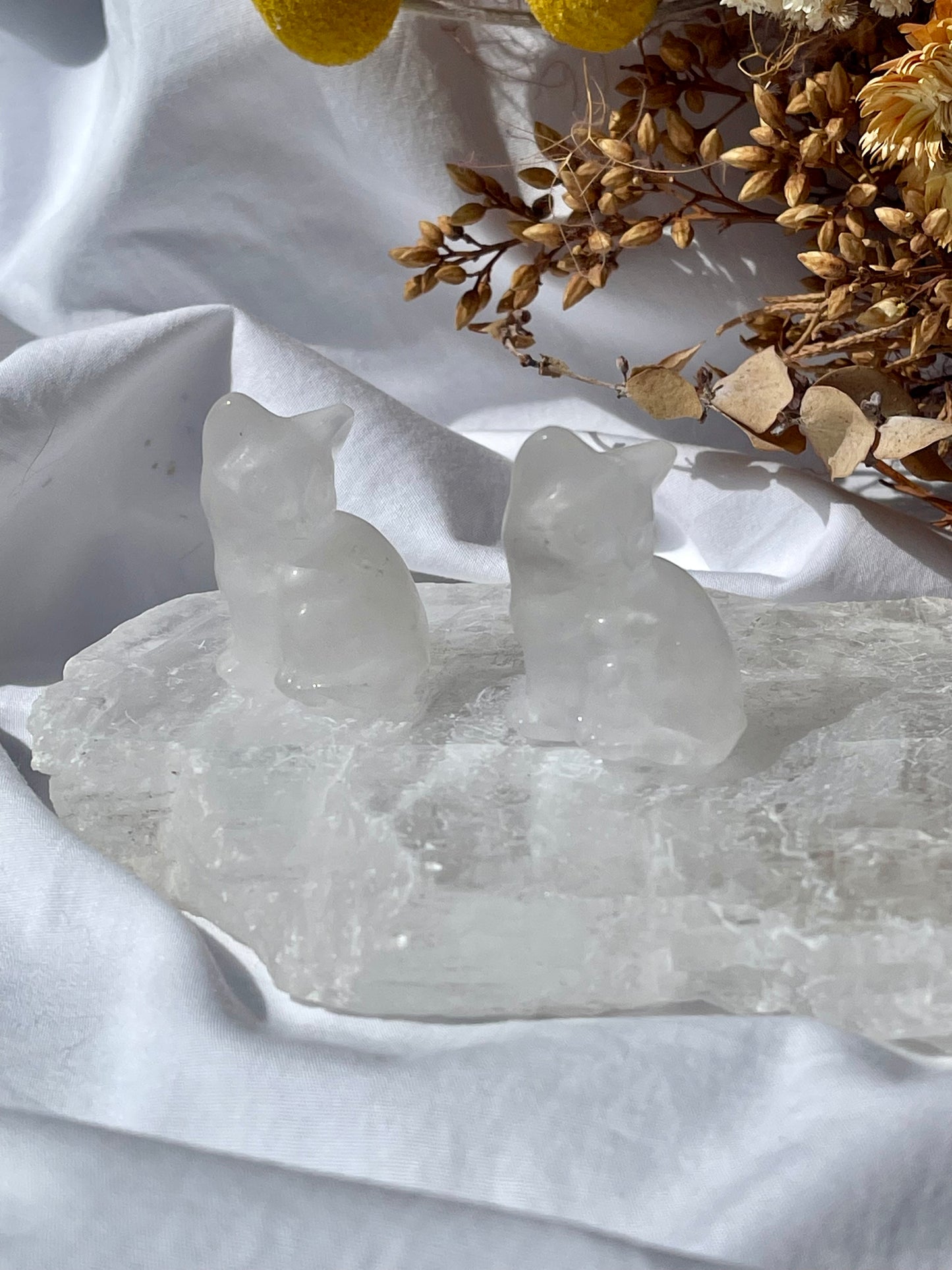 Clear Quartz cat