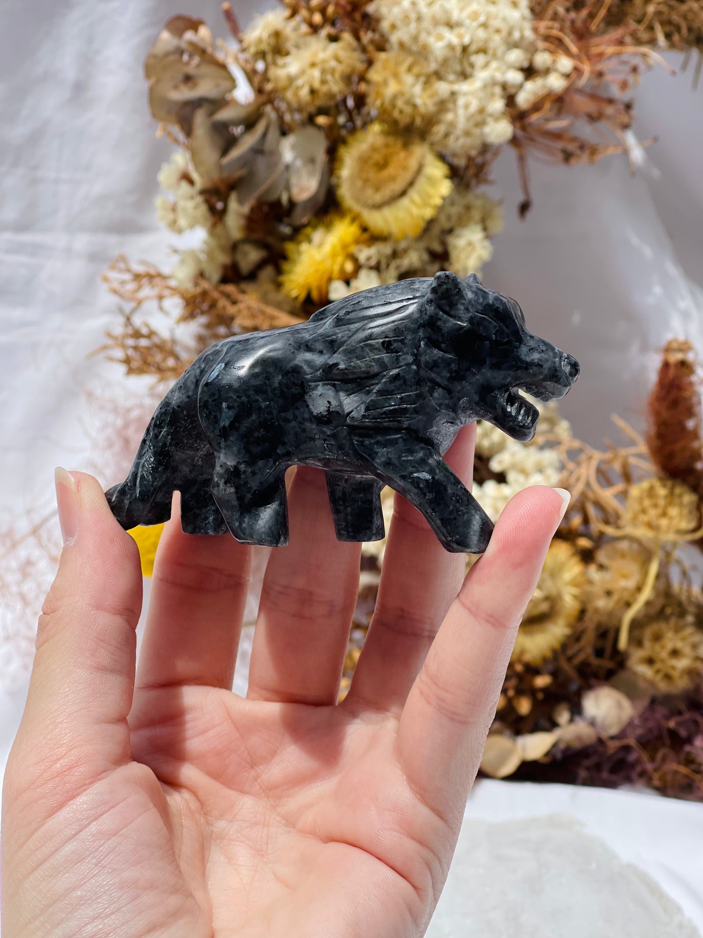 Larvakita Wolf