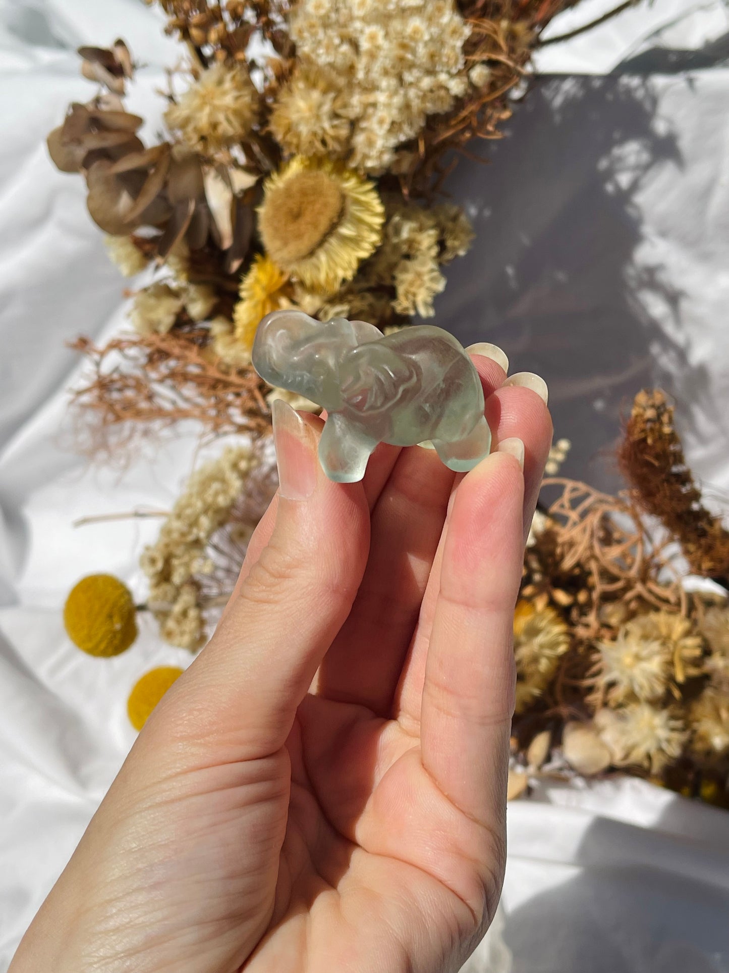 Fluorite Elephant #1