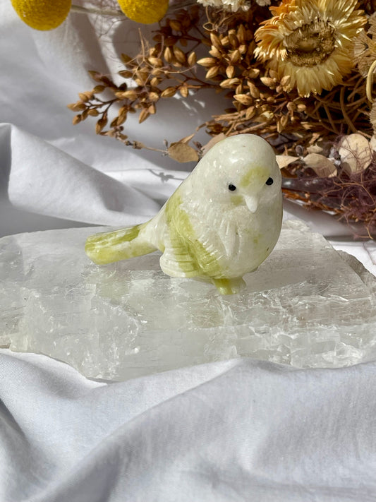 Lemon Jade Bird A