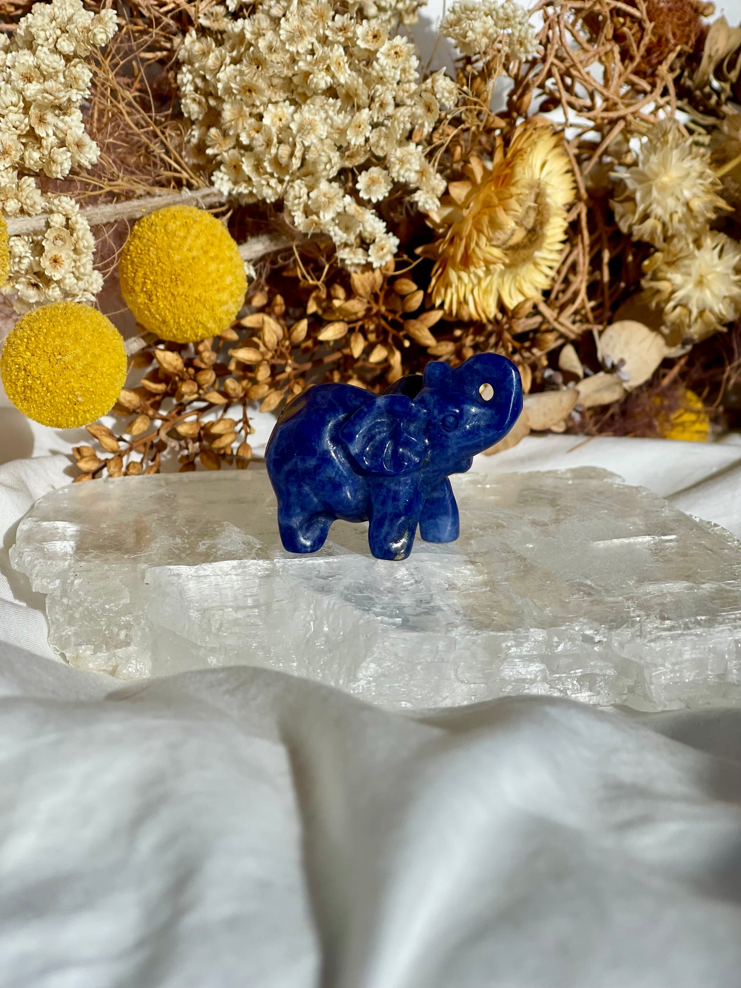 Sodalite Elephant #1
