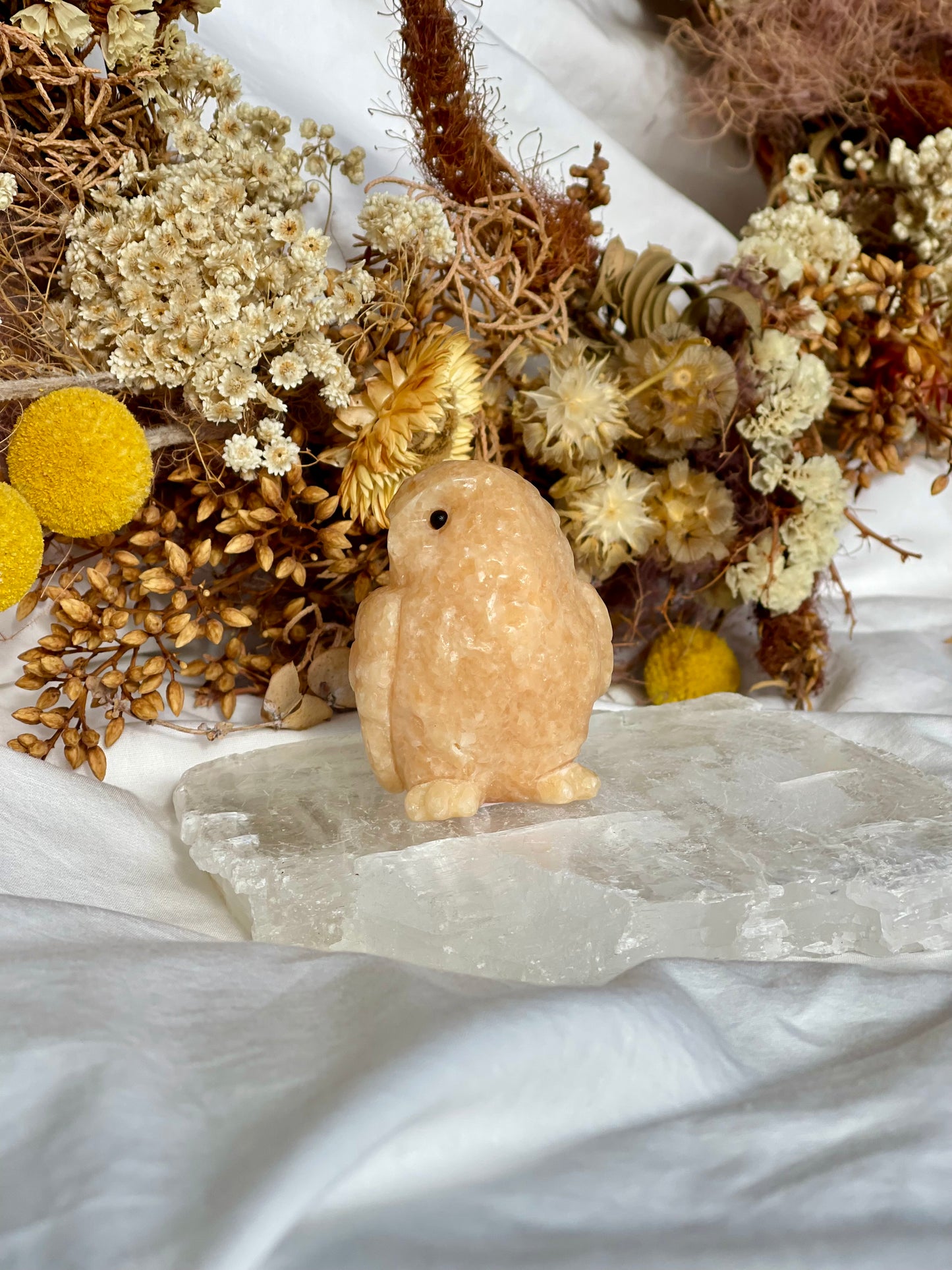 Sunstone Owl