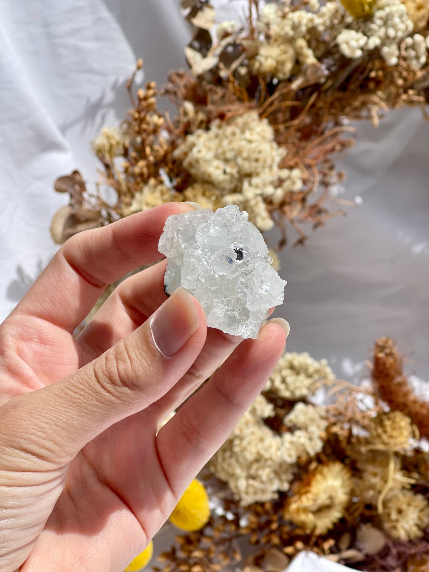 Apophyllite Specimen #4