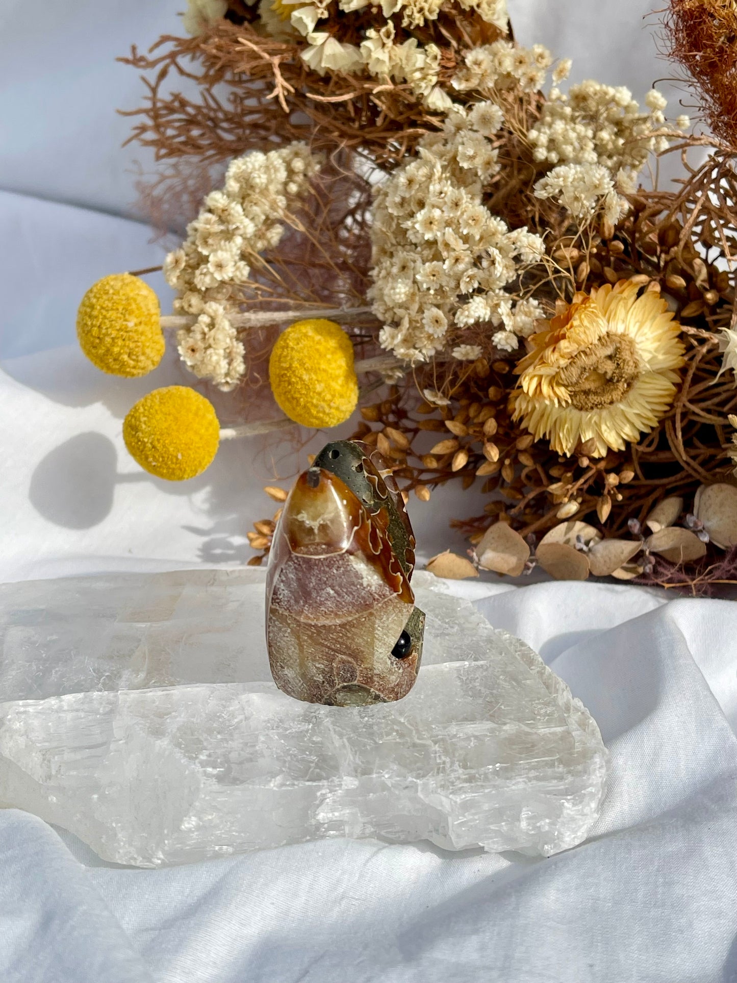 Ammonite Critter #3