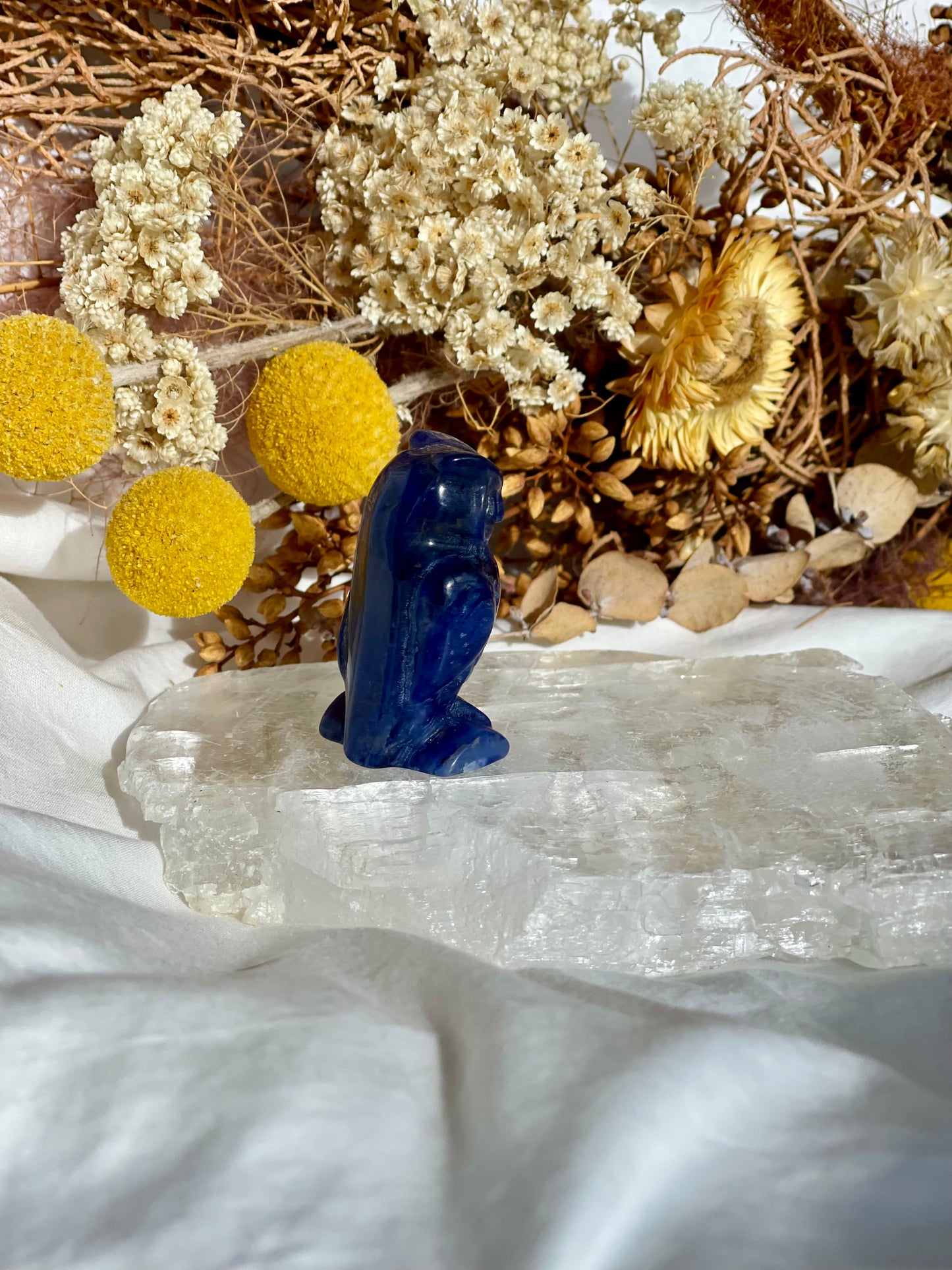 Sodalite Owl