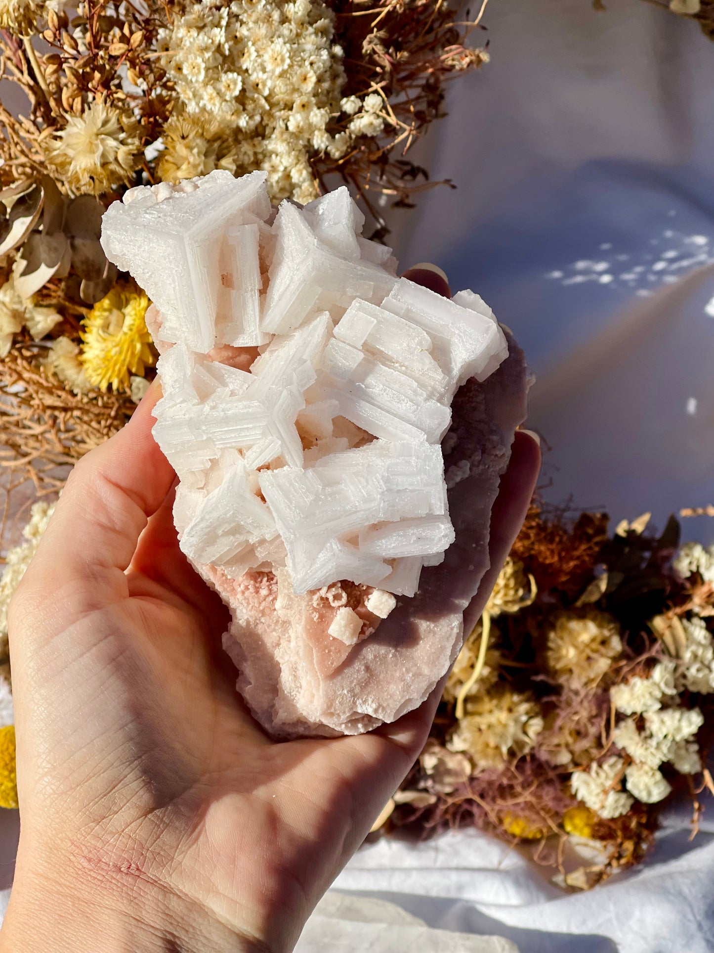 Pink Halite Cluster #4