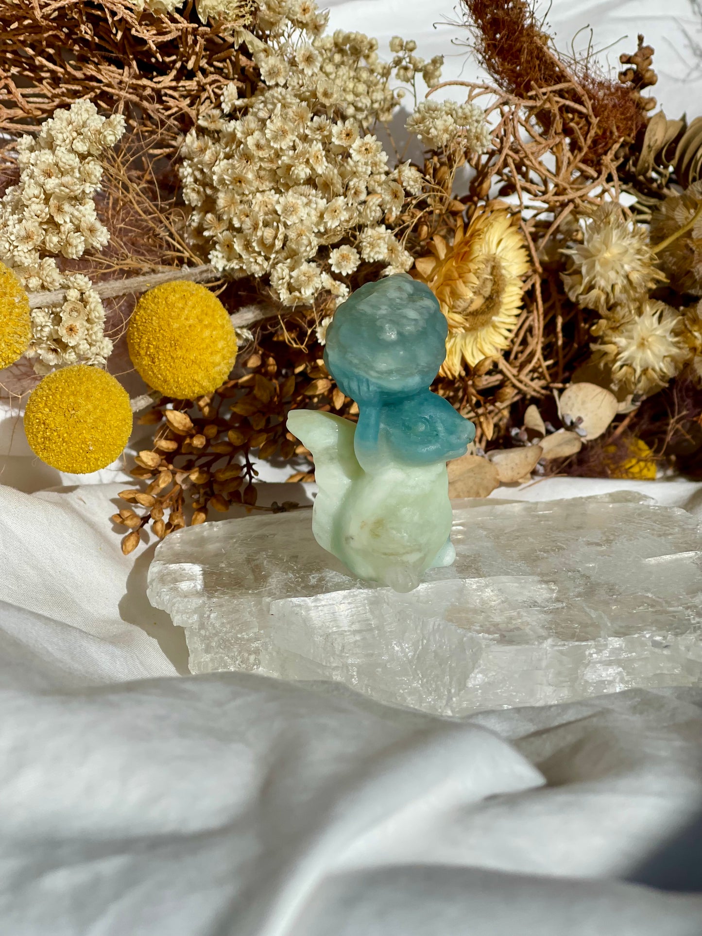 Brazilian Amazonite Squirrel #1