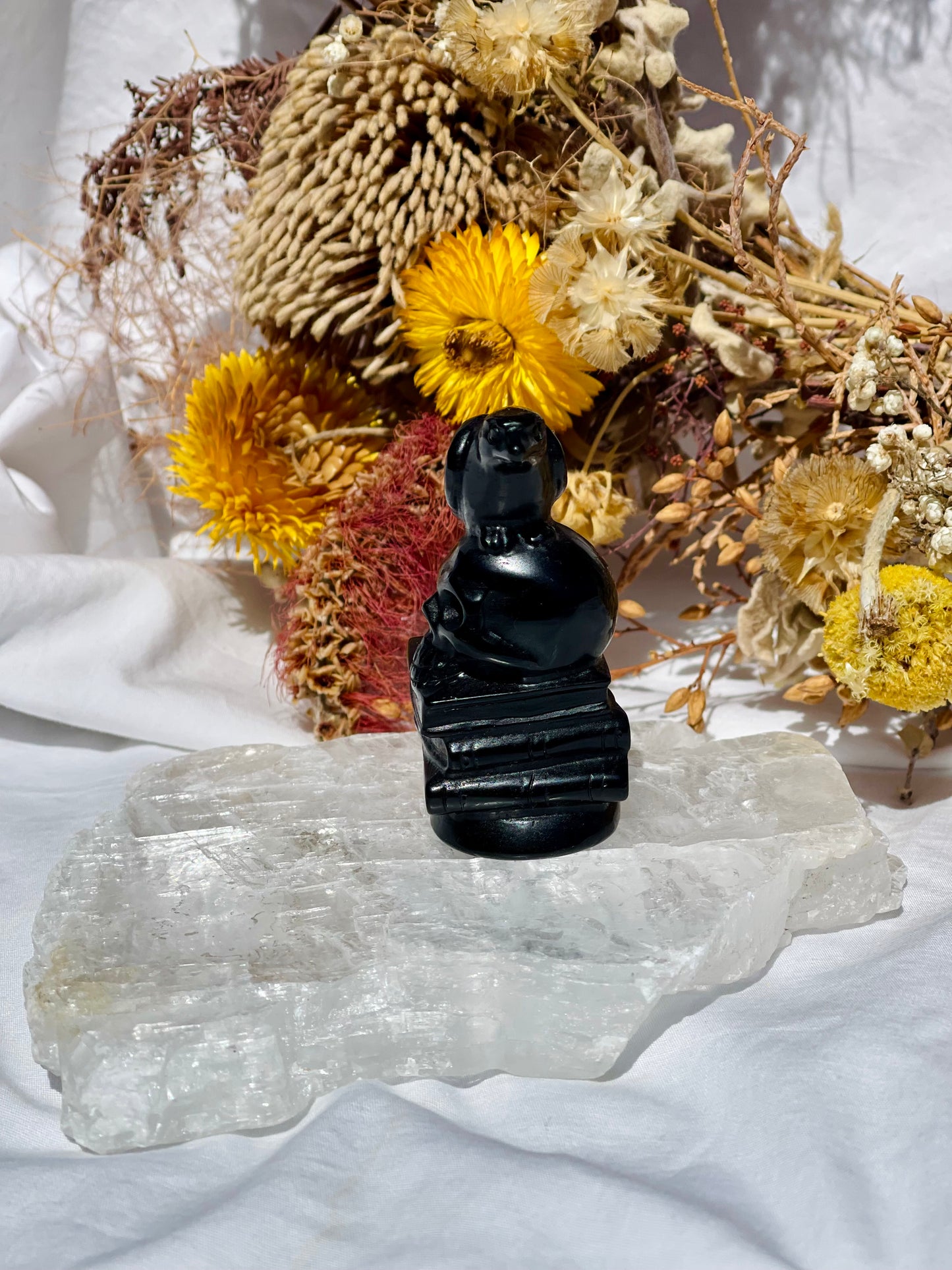 Black Obsidian Bird Skull