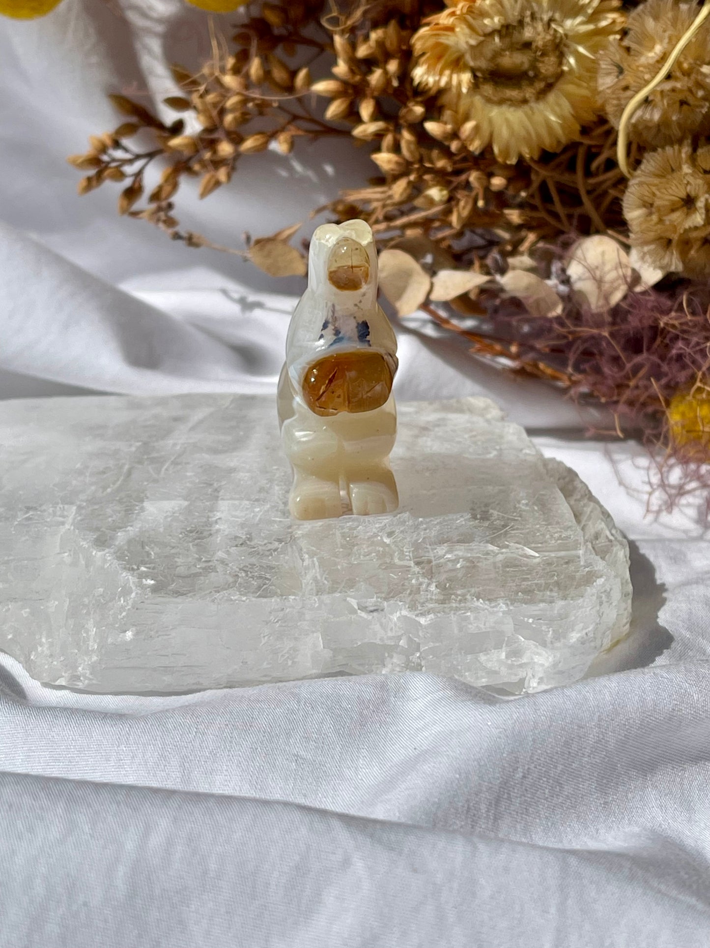 Agate T-Rex #1