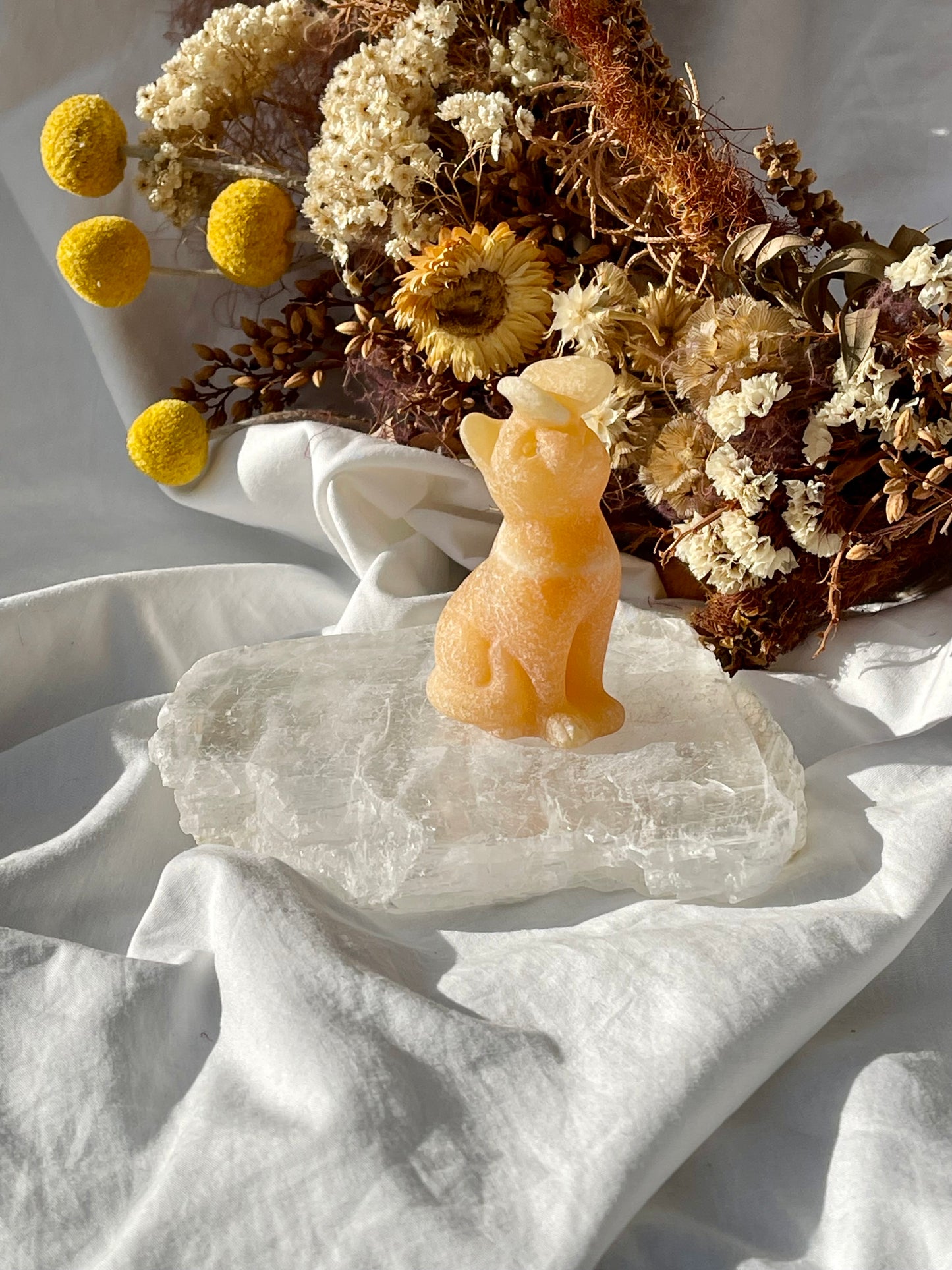 Orange Calcite Cat With Butterfly