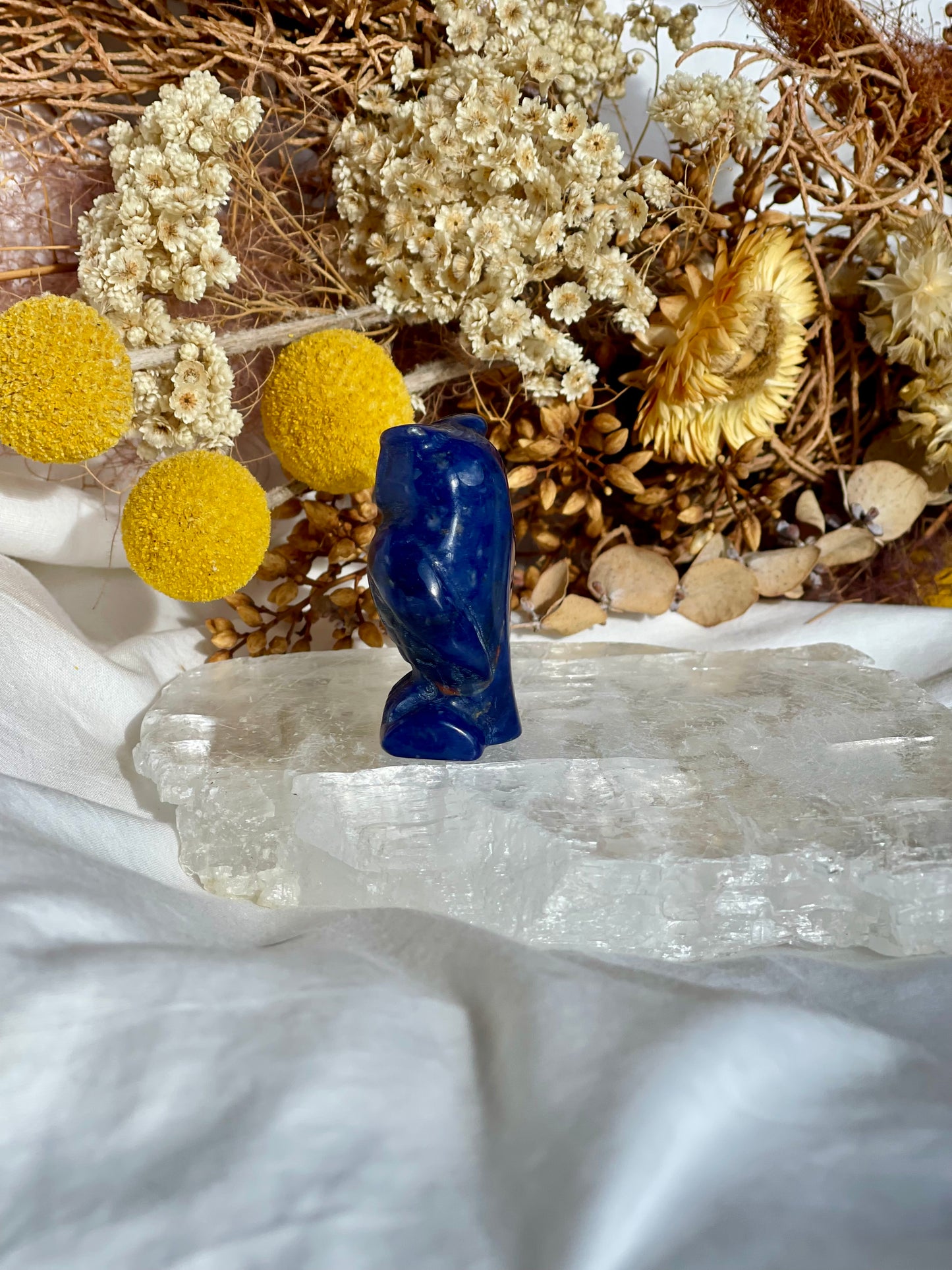Sodalite Owl