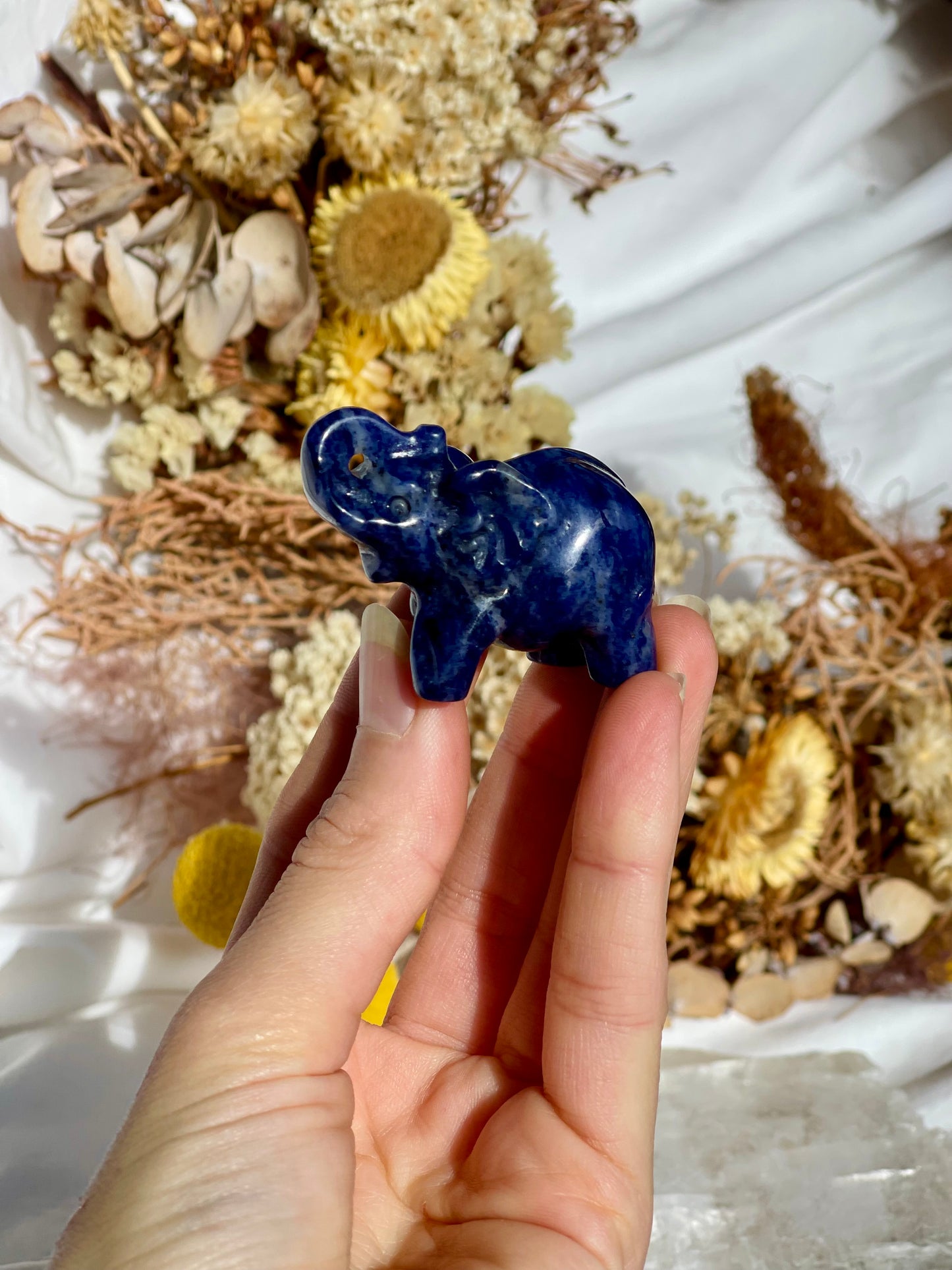 Sodalite Elephant #2