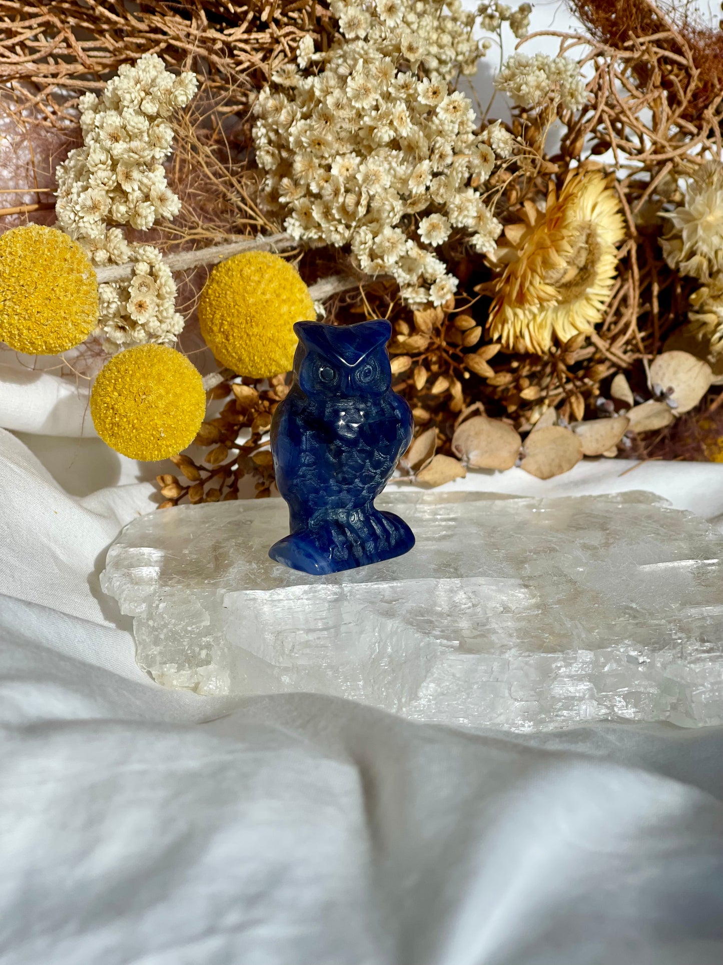 Sodalite Owl