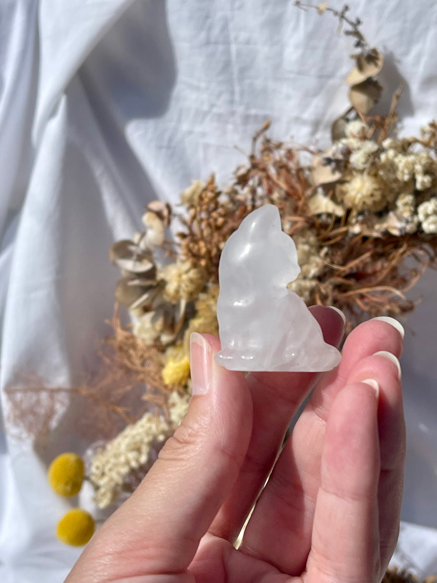 Clear Quartz cat