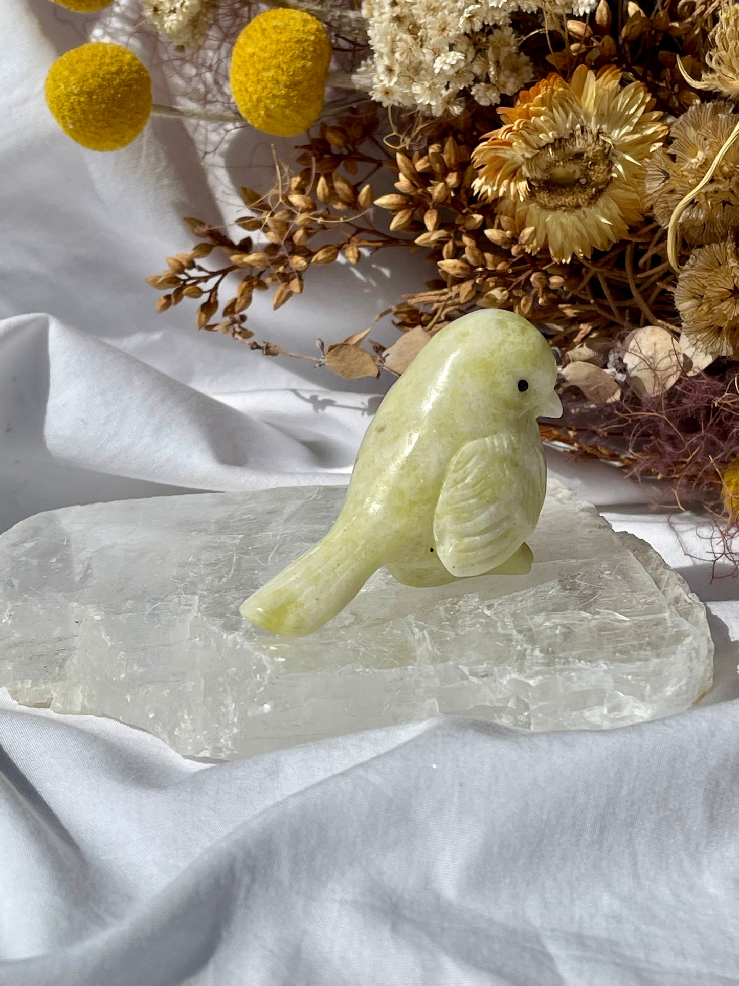 Lemon Jade Bird B