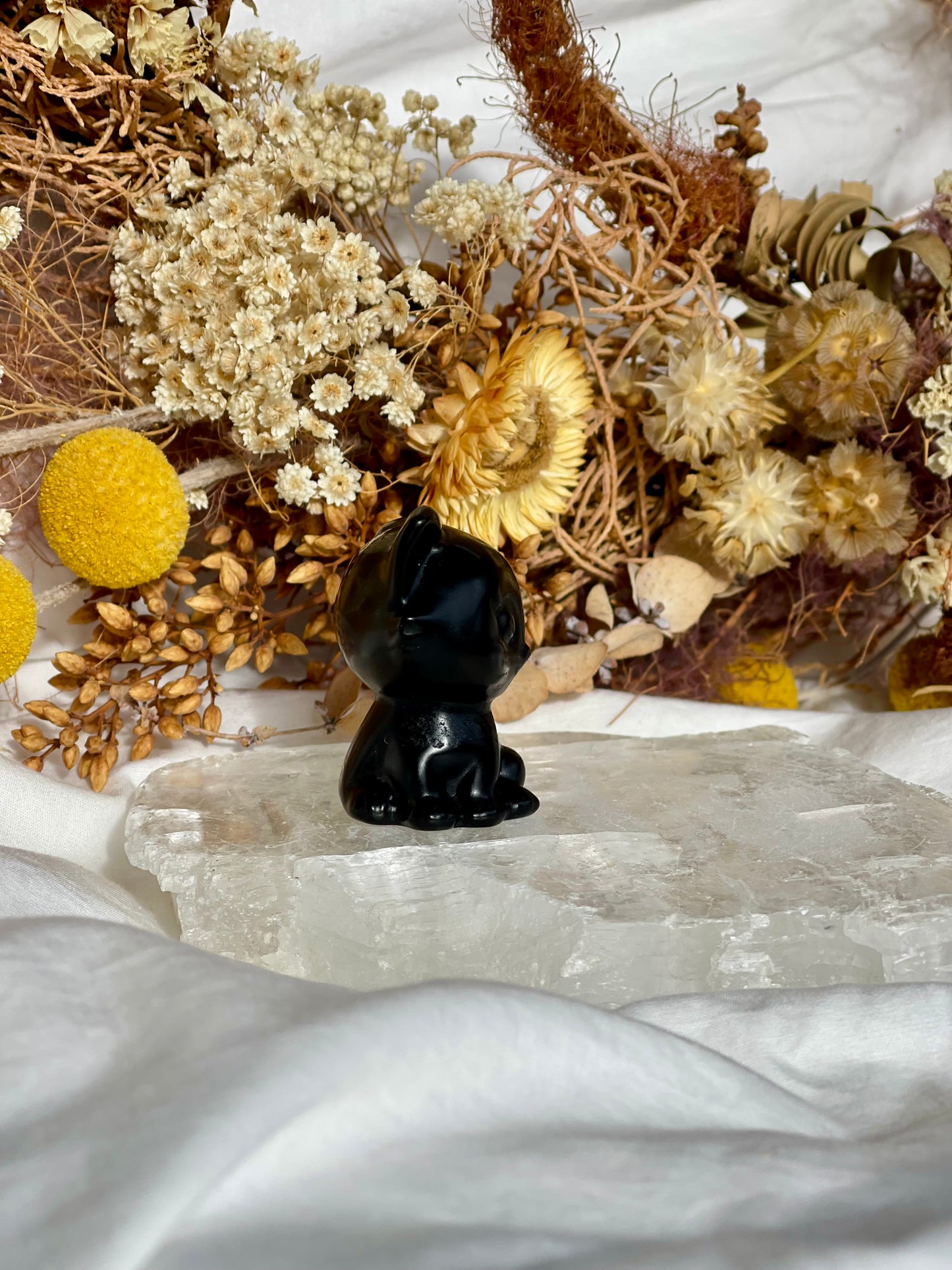 Black Obsidian Cat