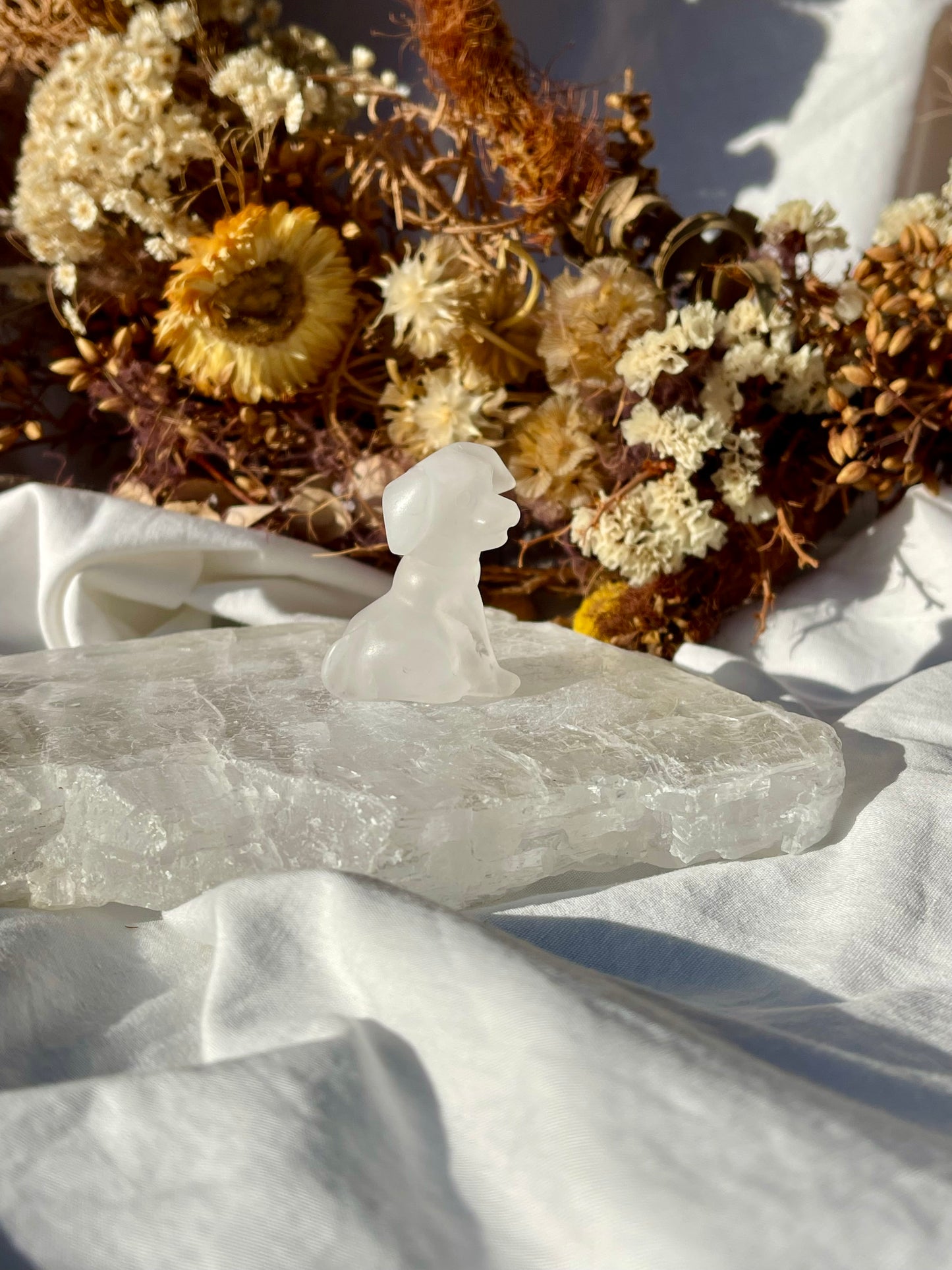 Quartz Dog