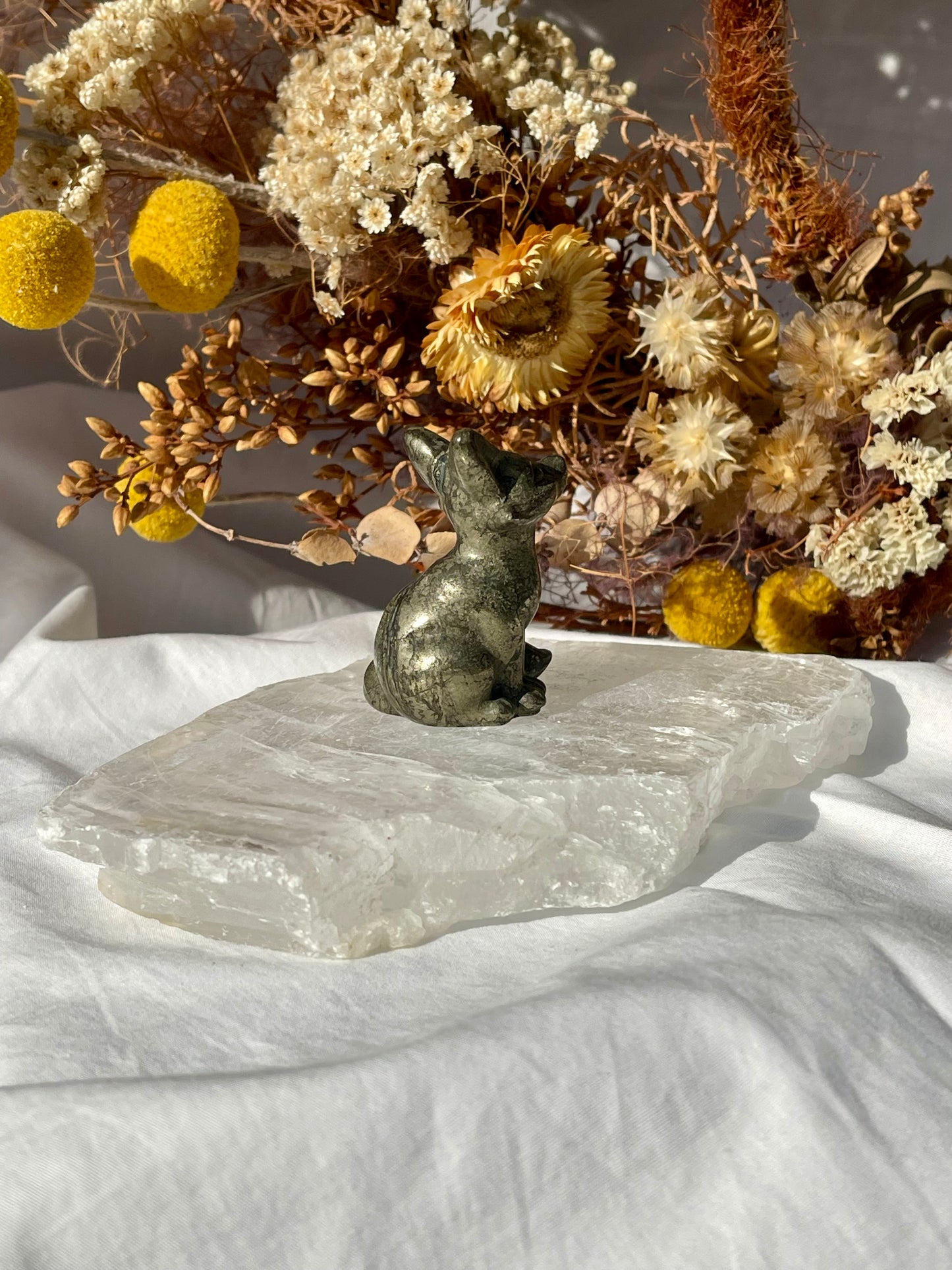 Pyrite Fox