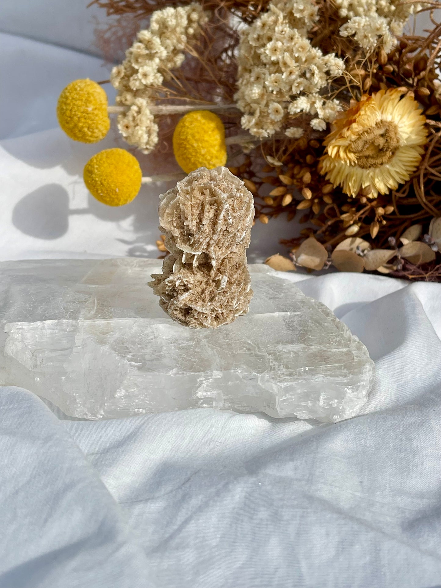 Desert Rose Critter #1