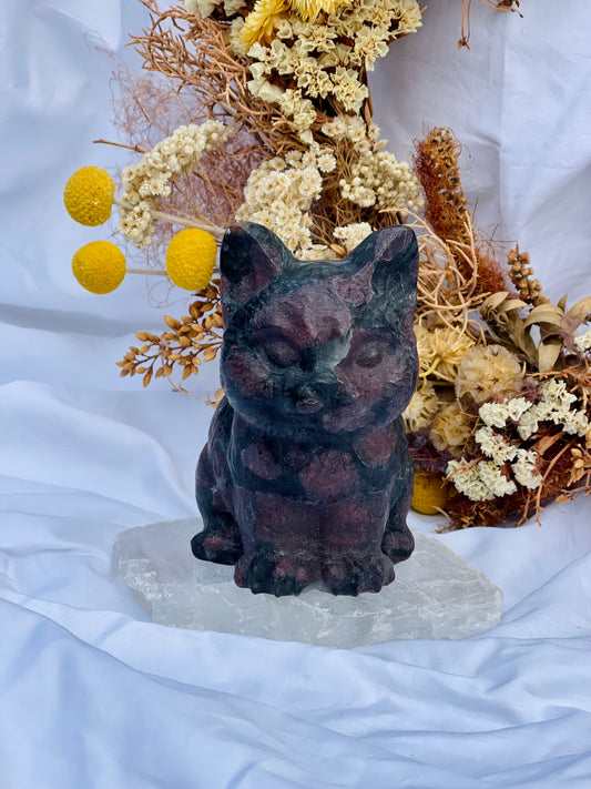Garnet / Astrophyllite Kitty