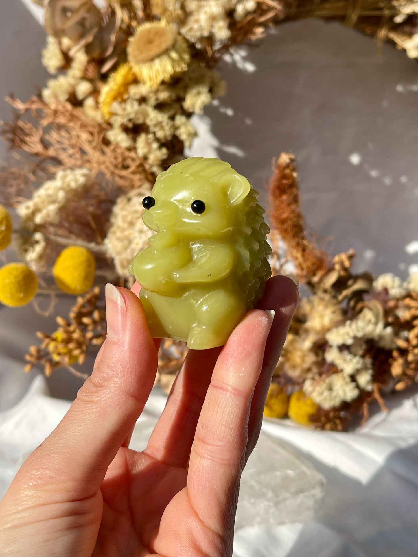 Lemon Jade Hedgehog
