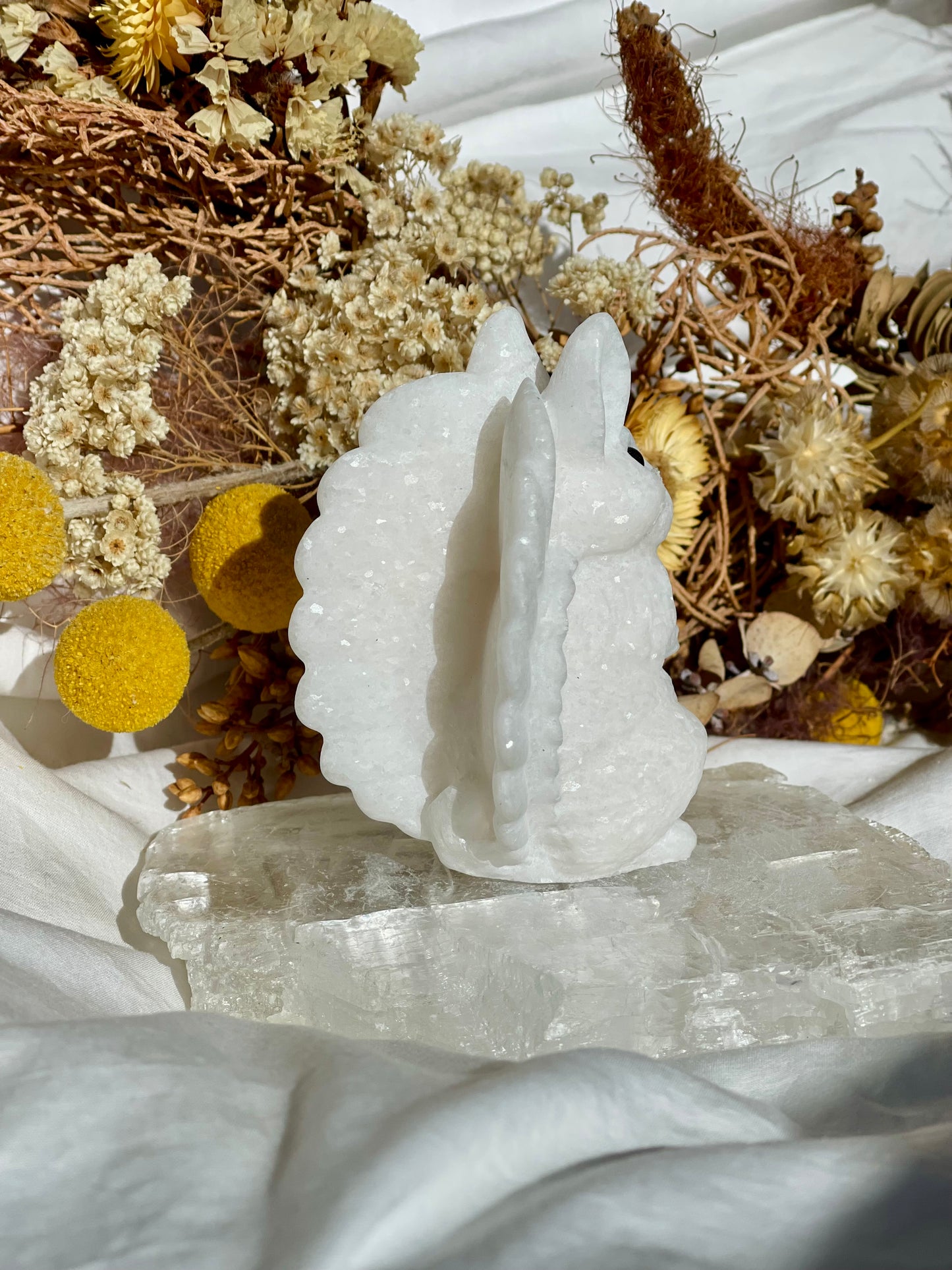 White Jade Squirrel