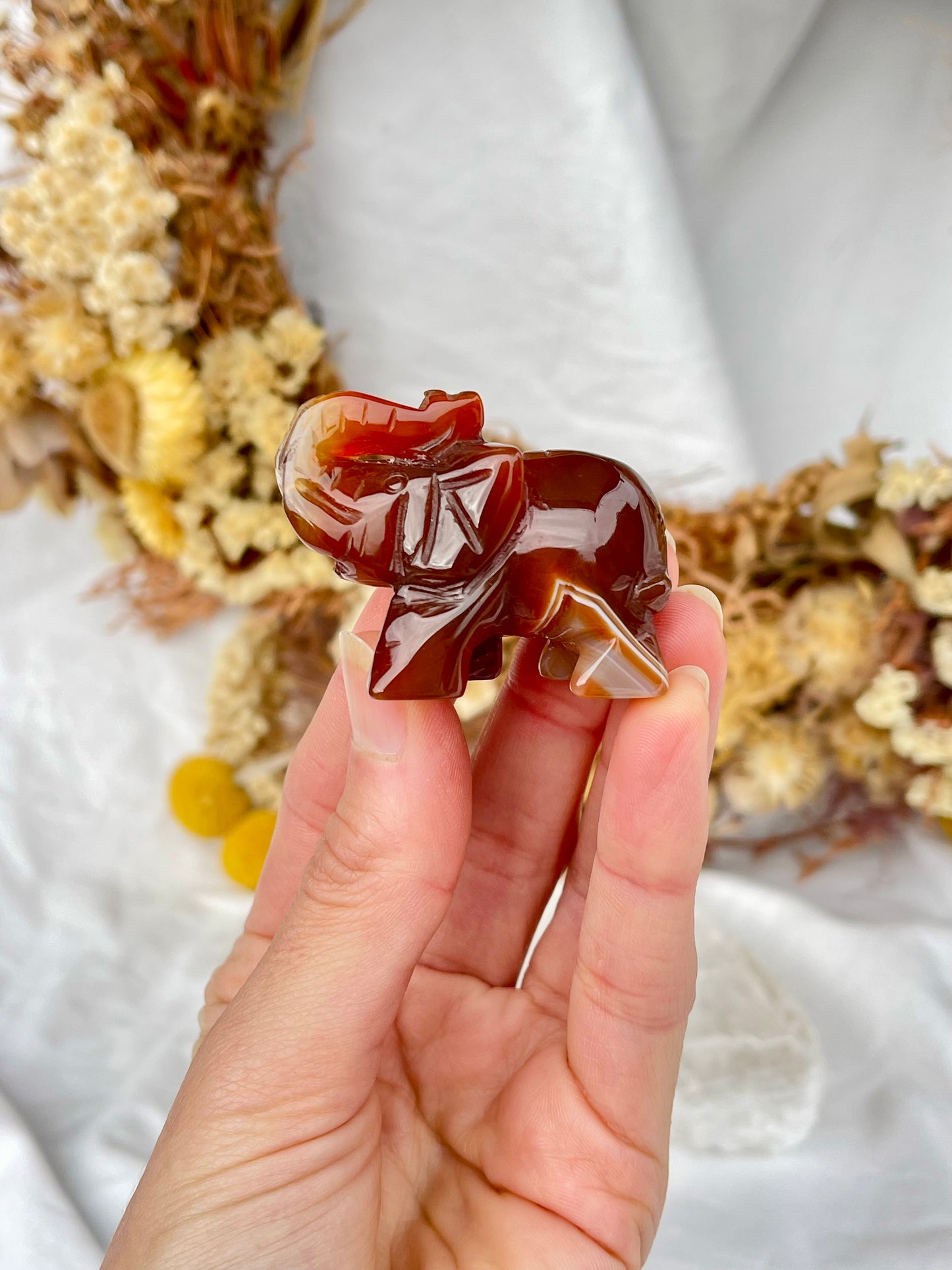 Carnelian Elephant #2