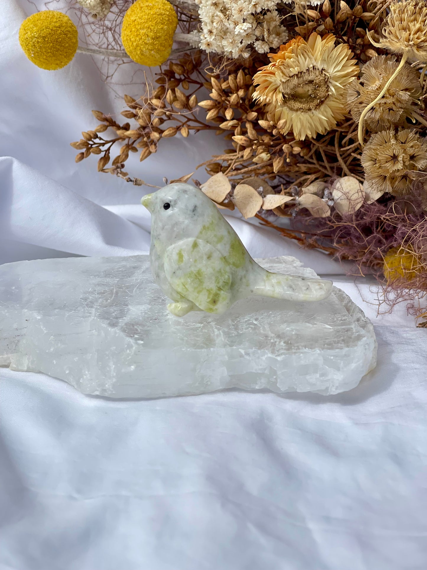Lemon jade bird 5