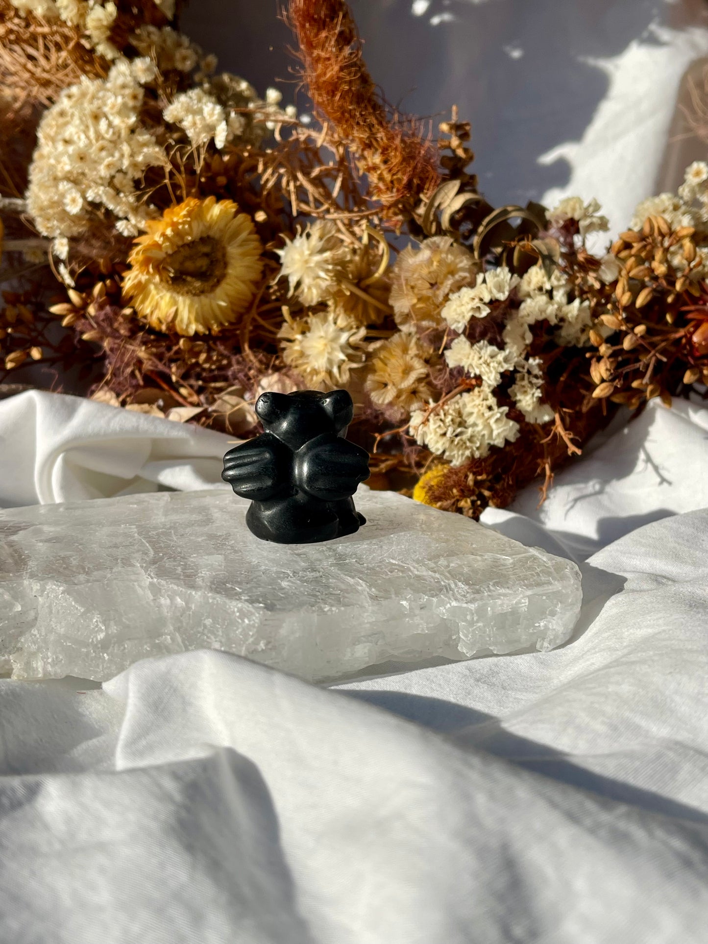 Black Obsidian Angel French Bulldog