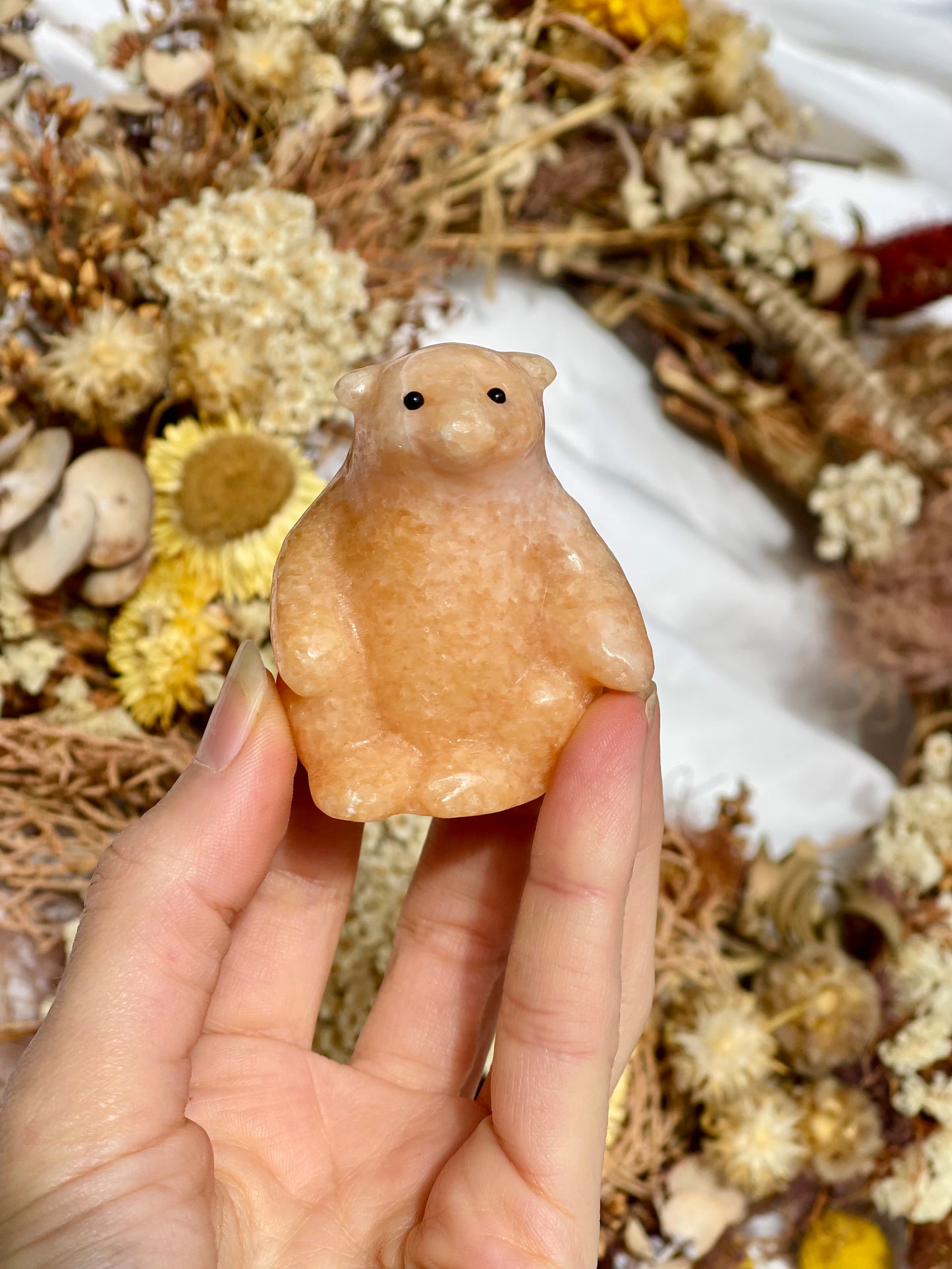 Sunstone Bear