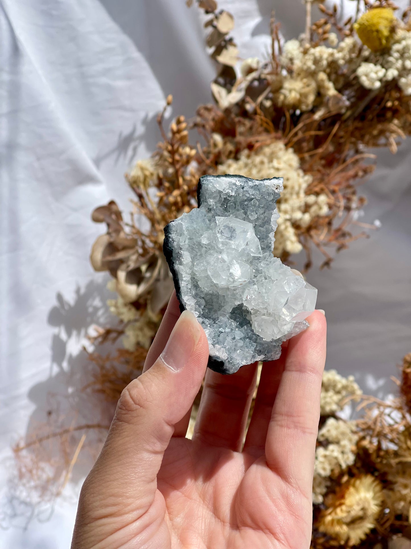 Apophyllite Specimen #5