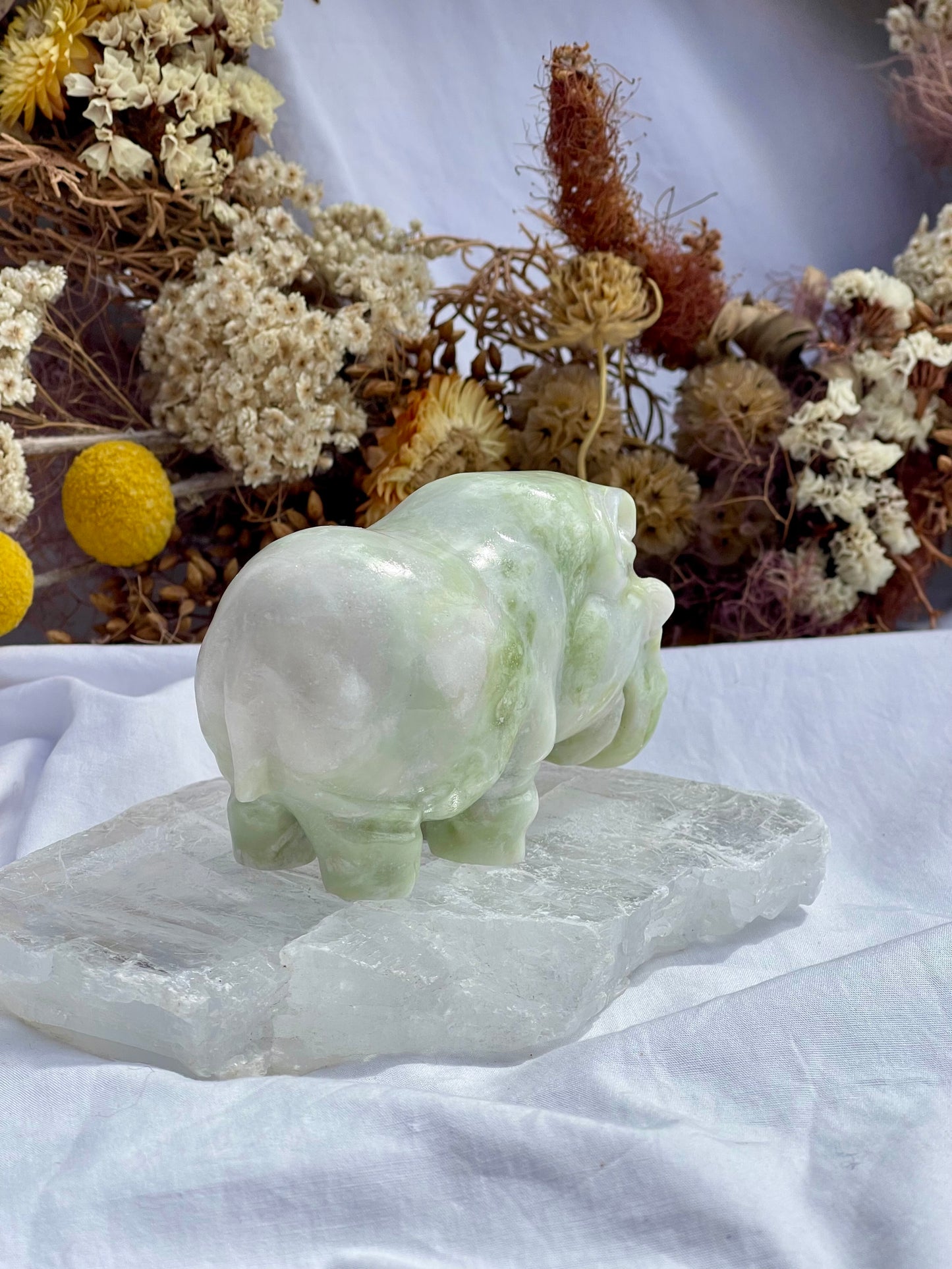 Lemon Jade Hippo