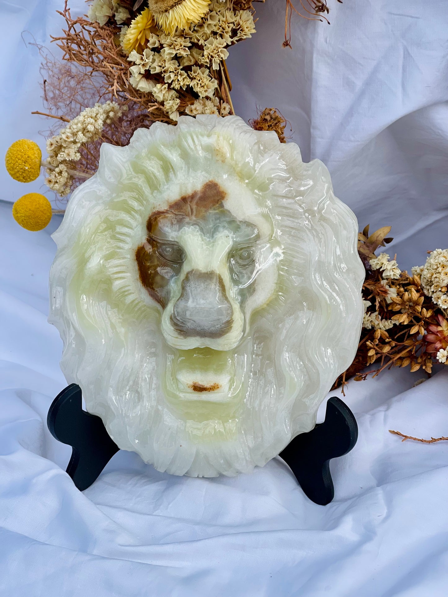 Afghanistan Jade Lion