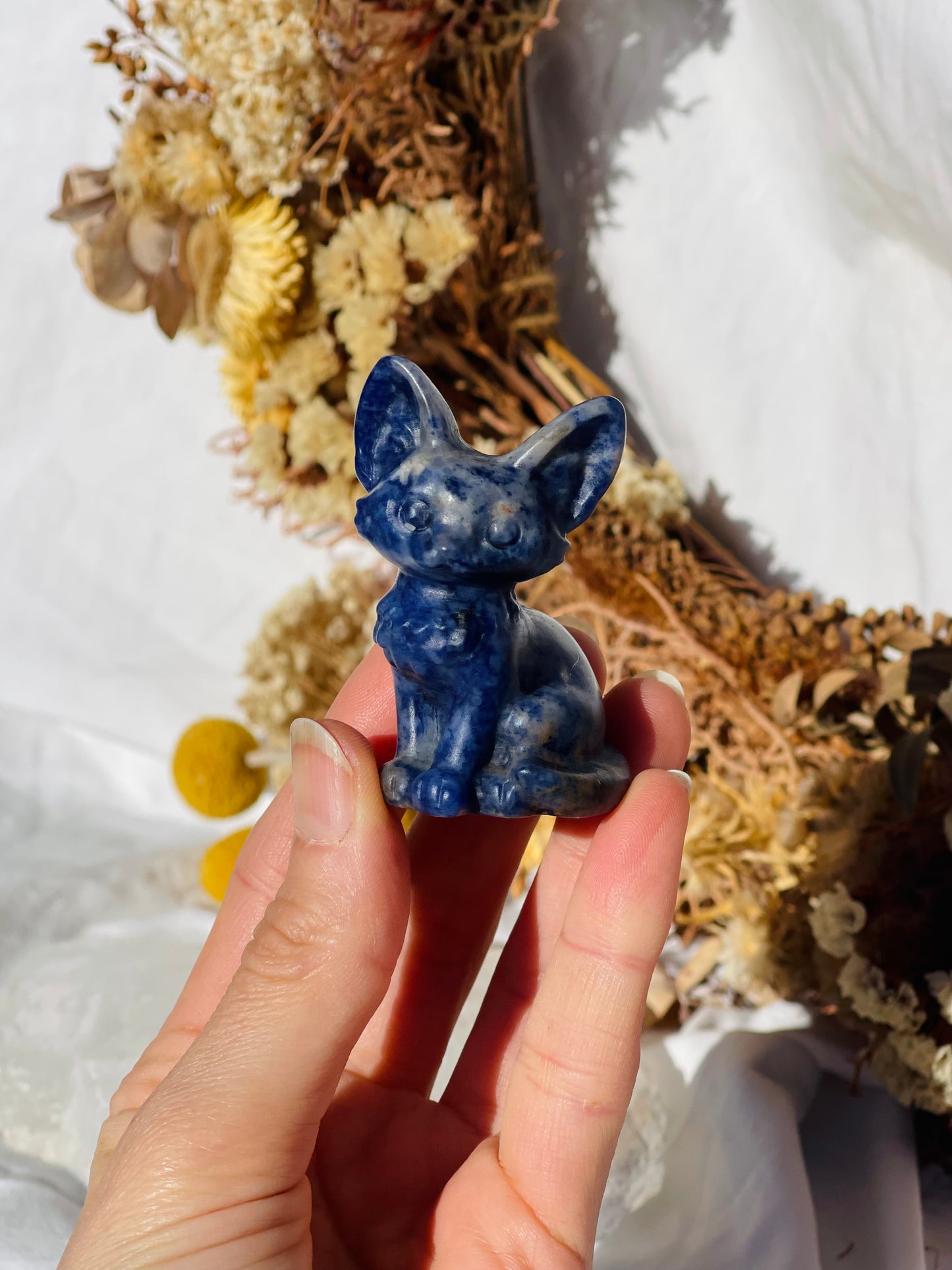 Sodalite Cat