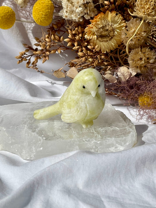 Lemon Jade Bird B